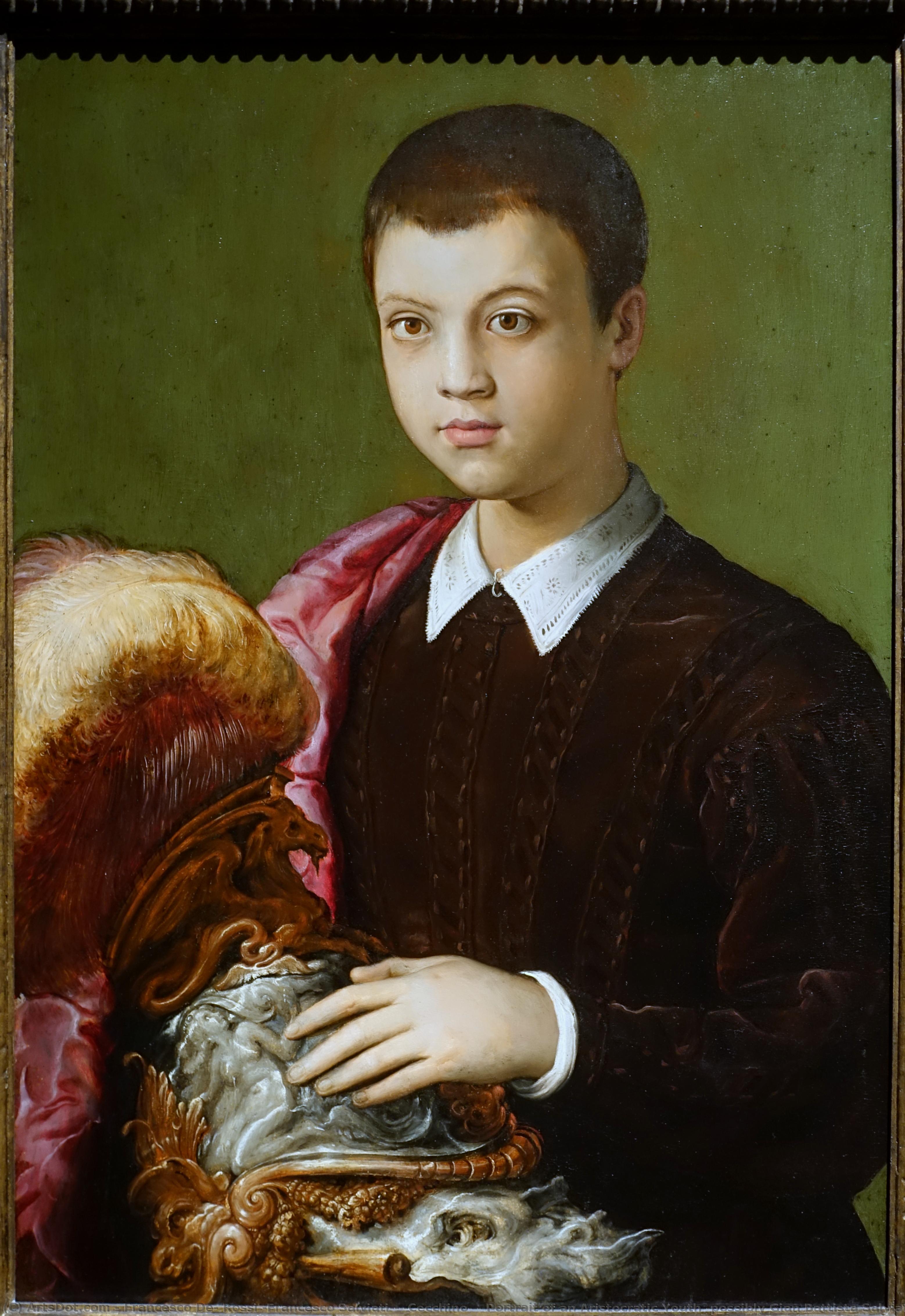 Portrett Av En Aristokratisk Ung Mann (muligens Gian Battista Salviati) — Francesco Salviati
