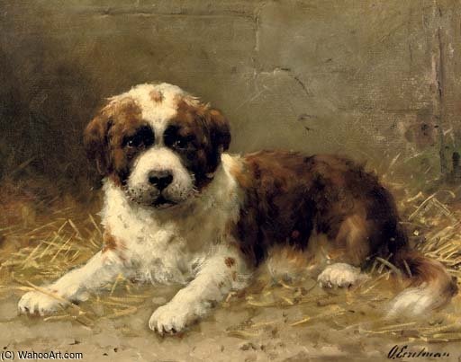 A St. Bernard Pup — Otto Eerelman