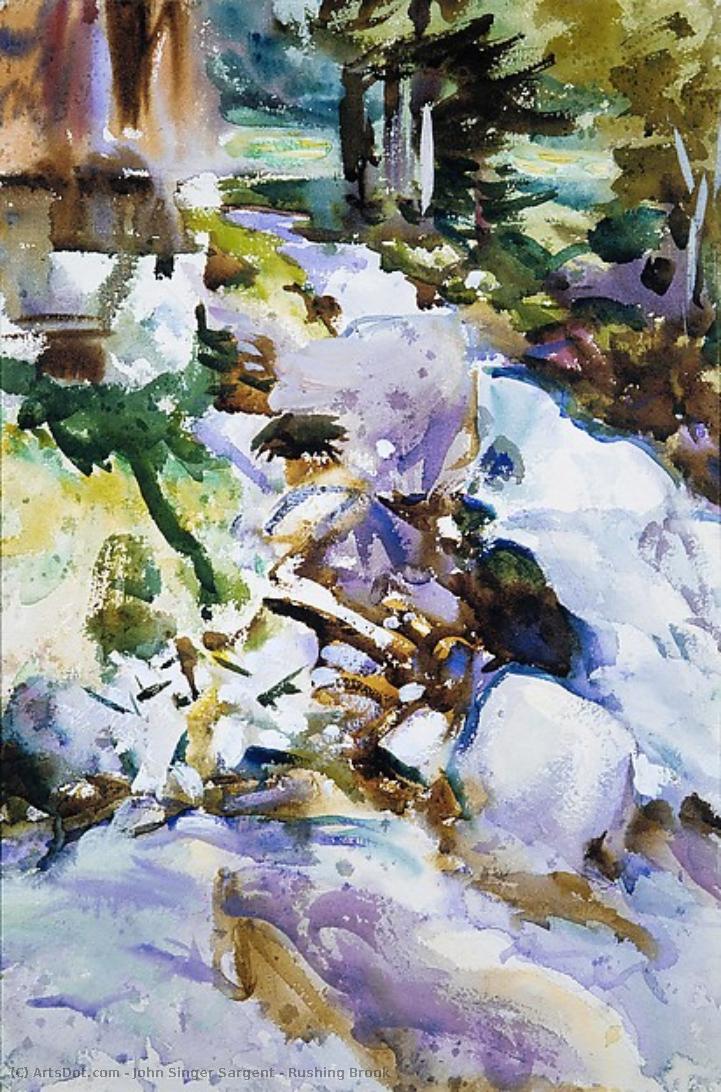 Rushing Brook — John Singer Sargent