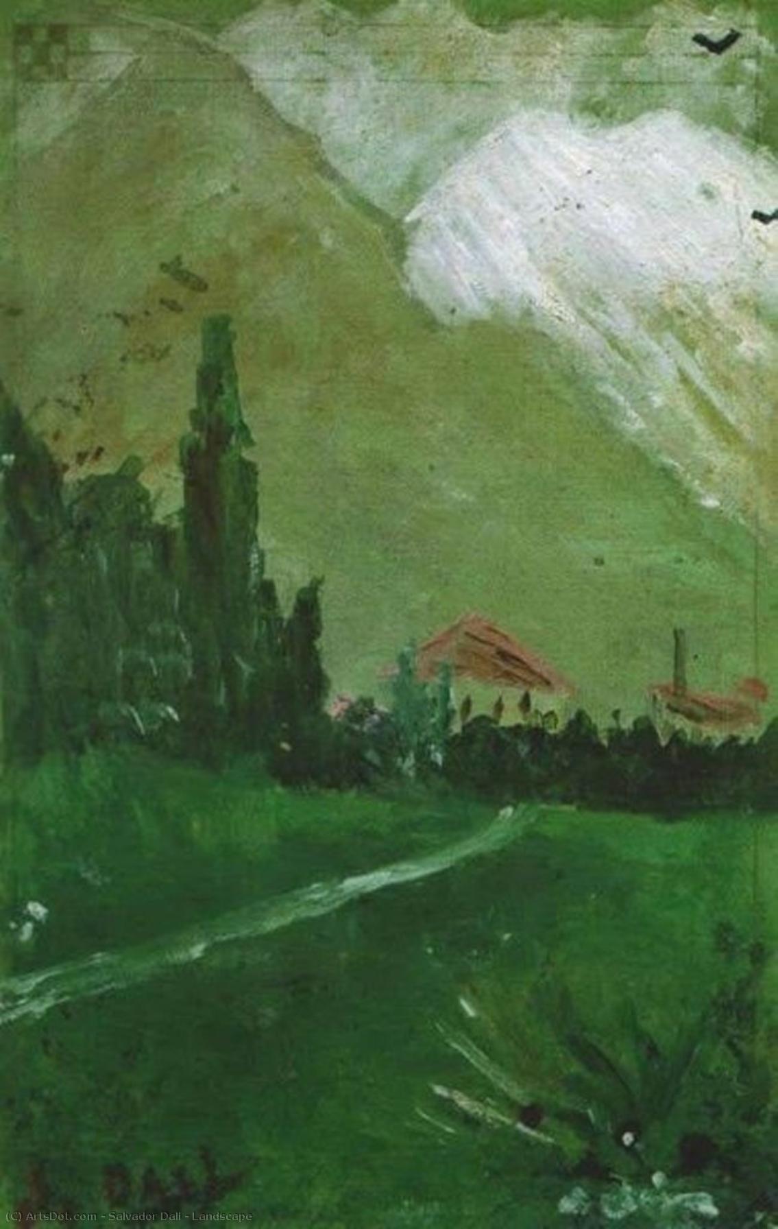 Landschaft — Salvador Dalí