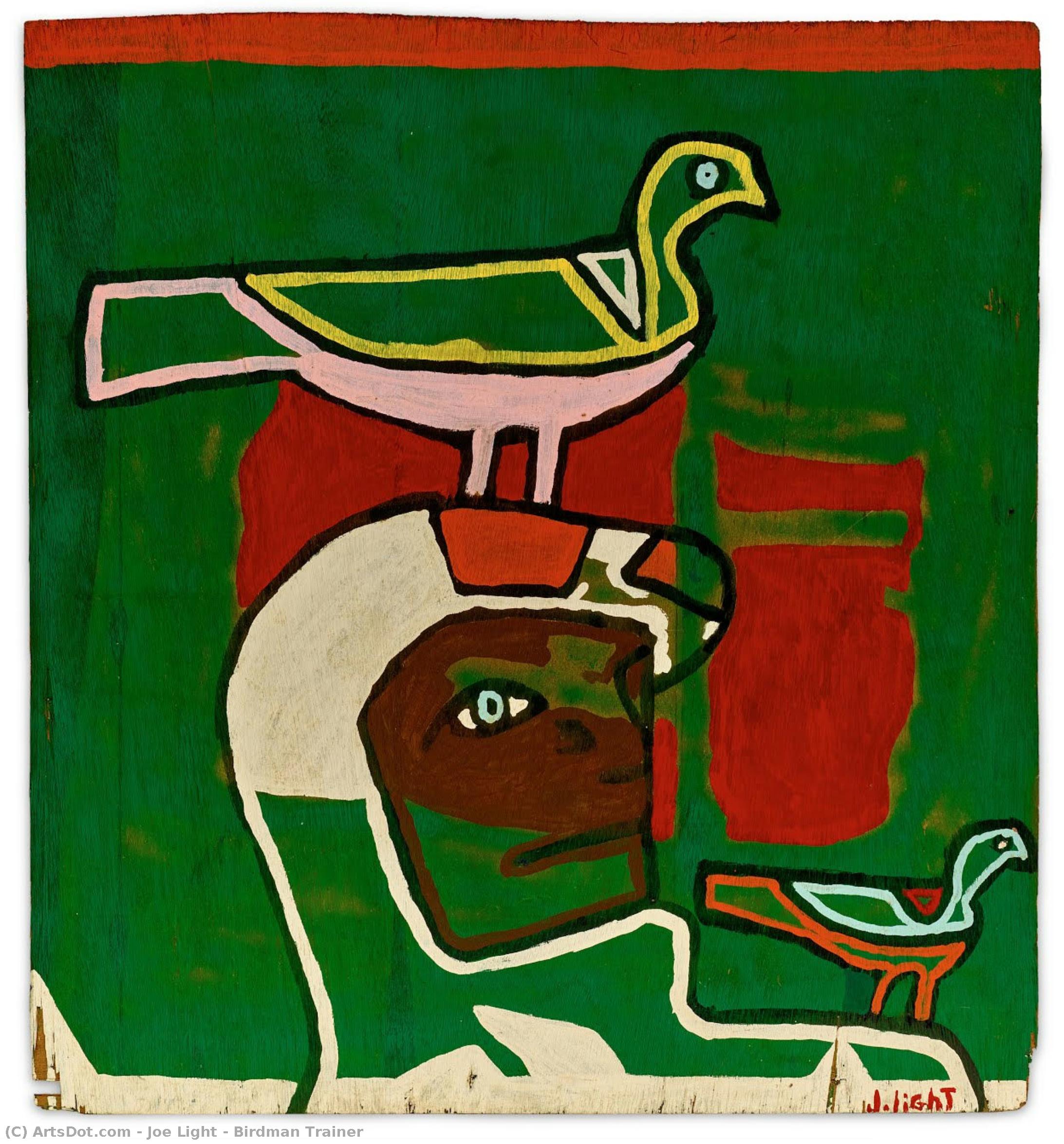 Birdman Trainer — Joe Light