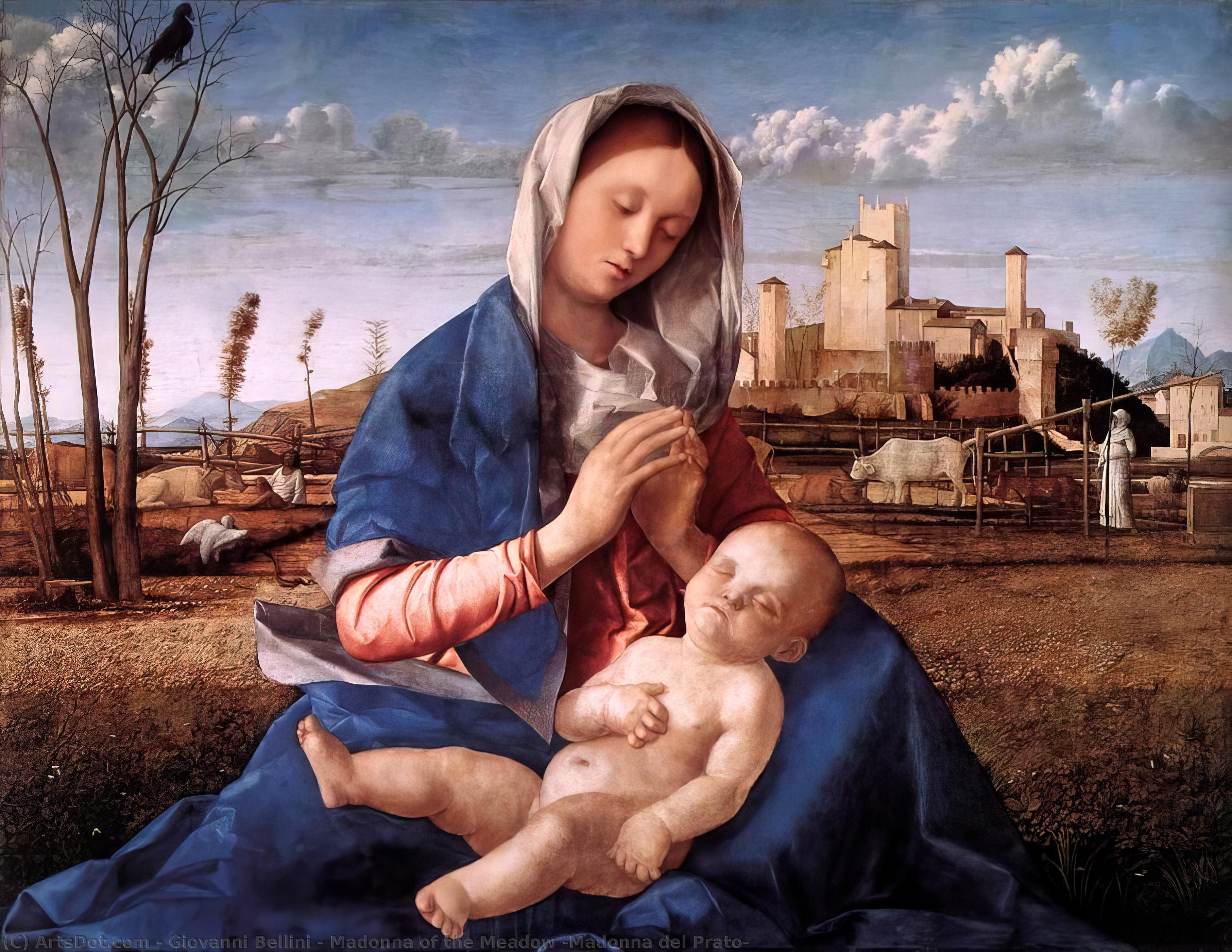 Madonna Della Valle — Giovanni Bellini