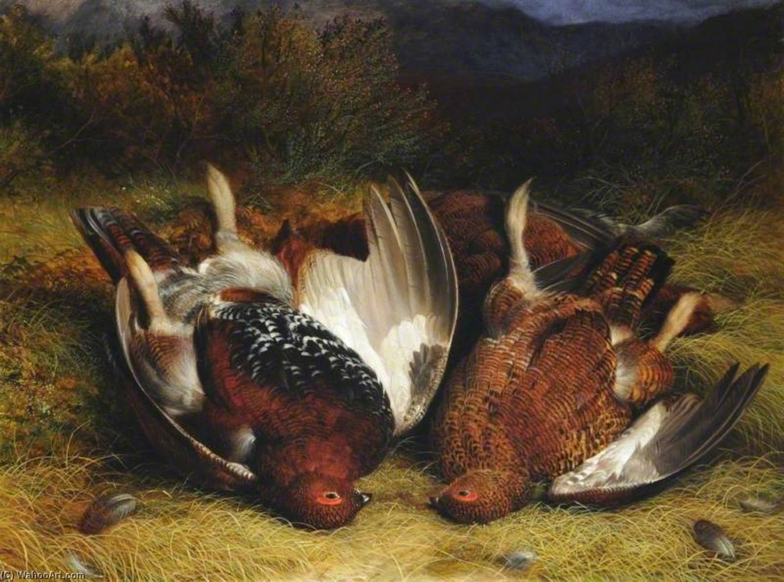 Three Red Grouse — Abel Hold