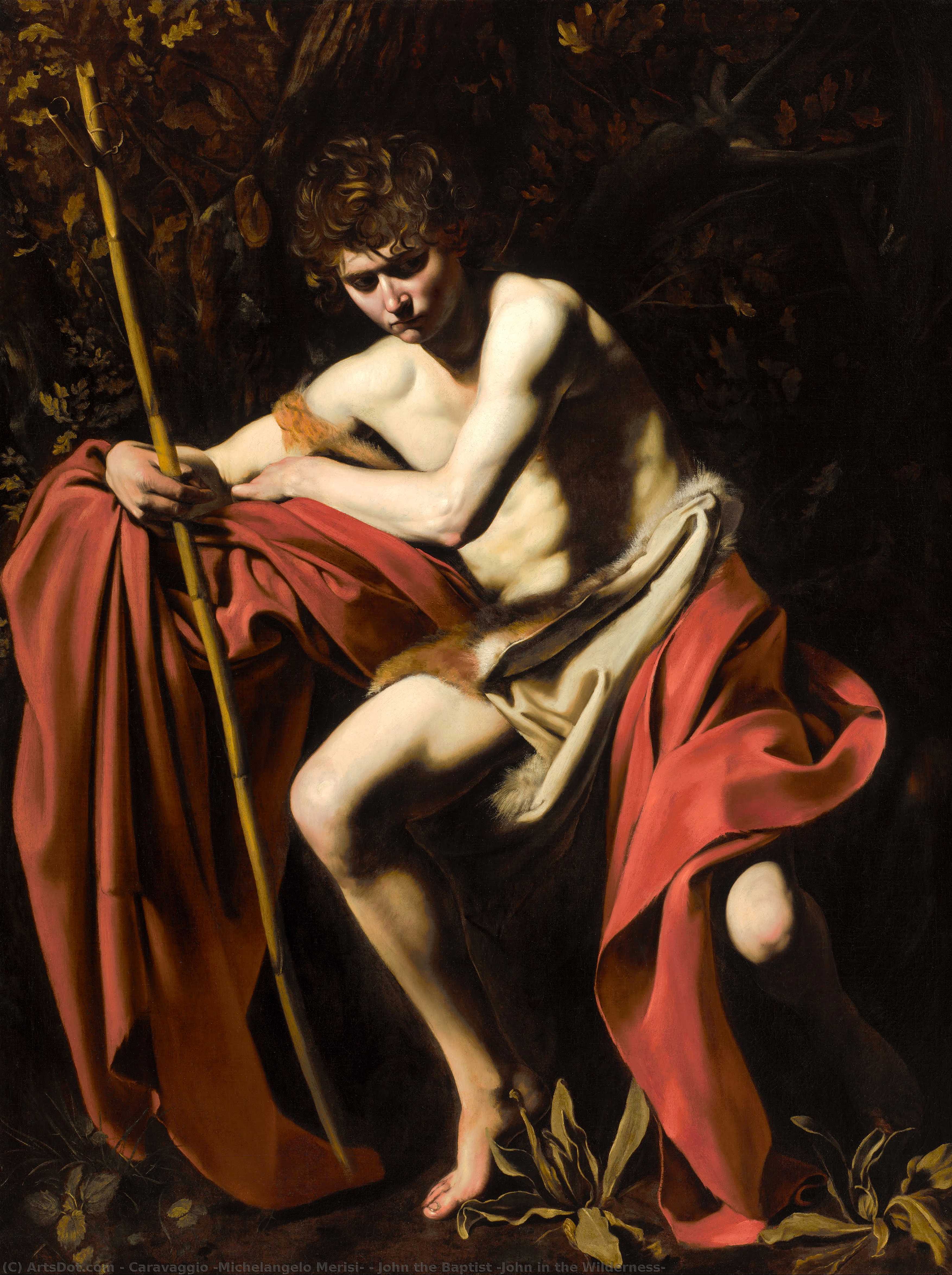 John The Baptist (john In The Wilderness) — Caravaggio