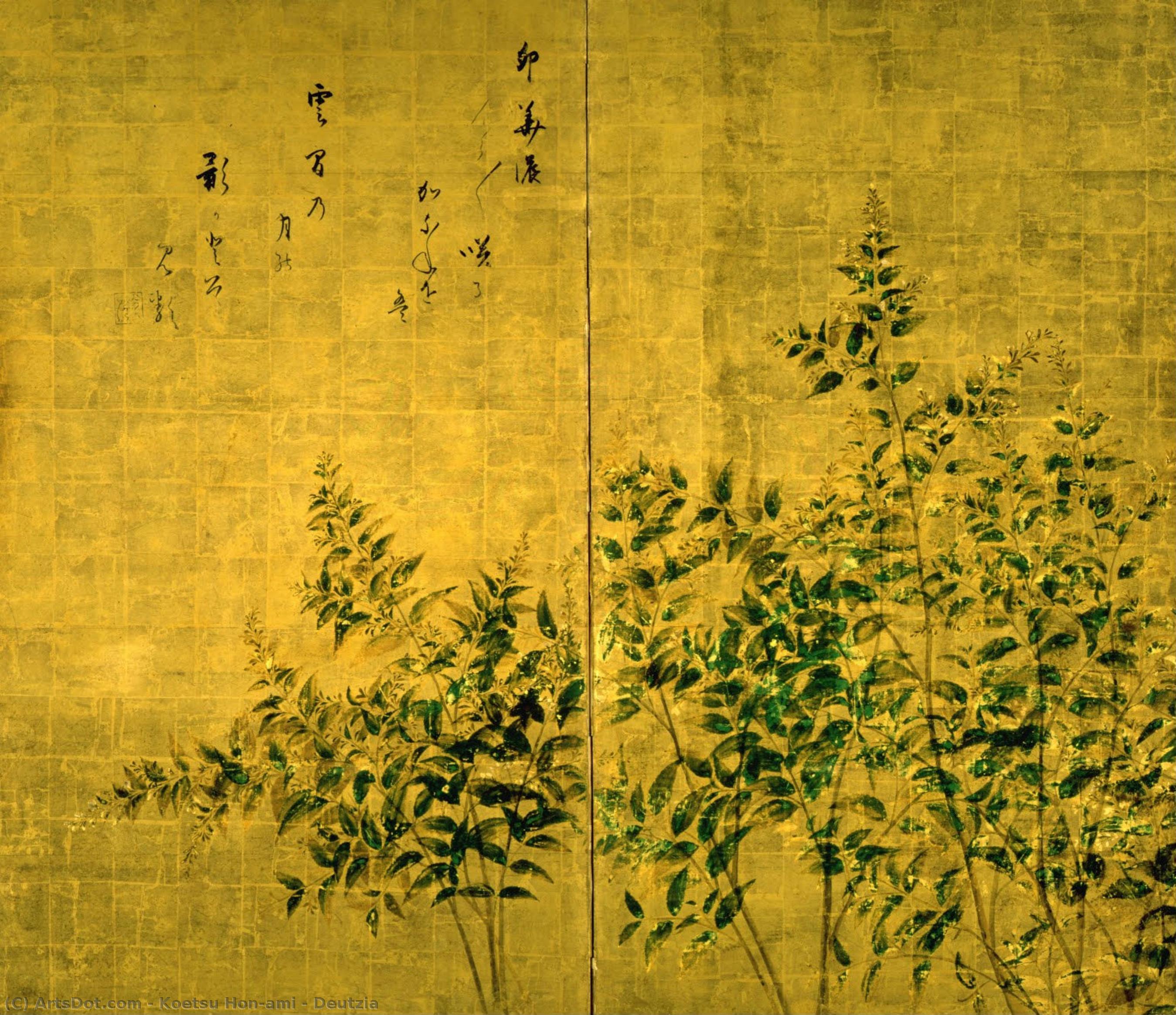 Deutzia — Hon'ami Kōetsu