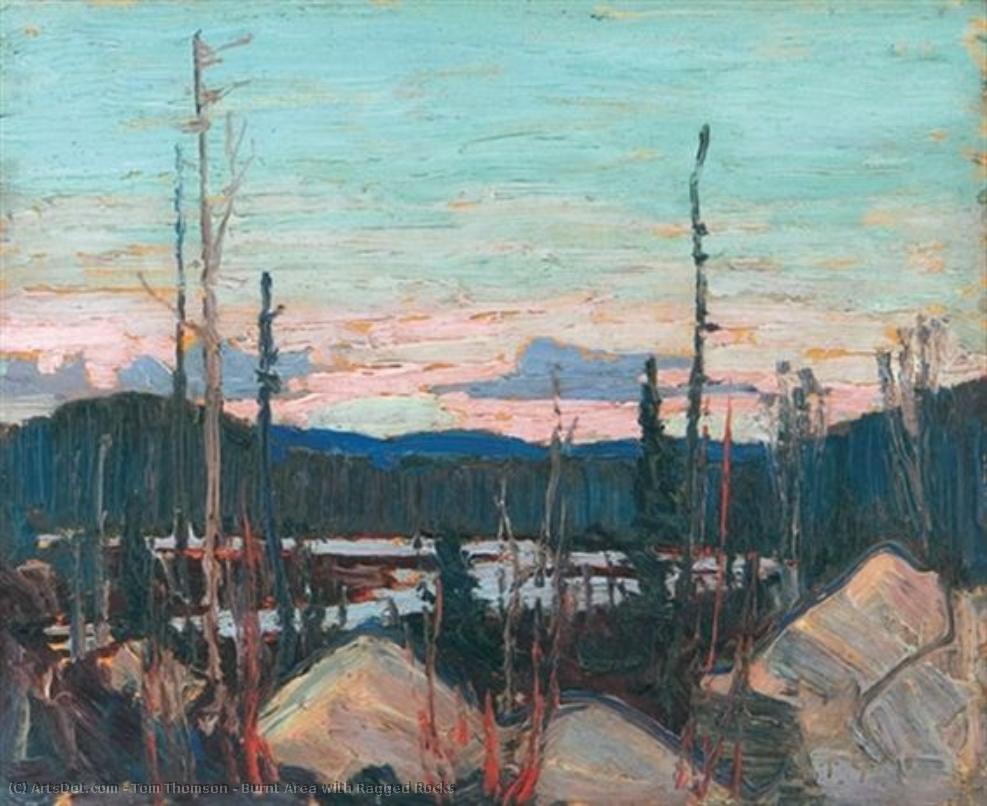 Burnt Area With Ragged Rocks — Tom Tomson