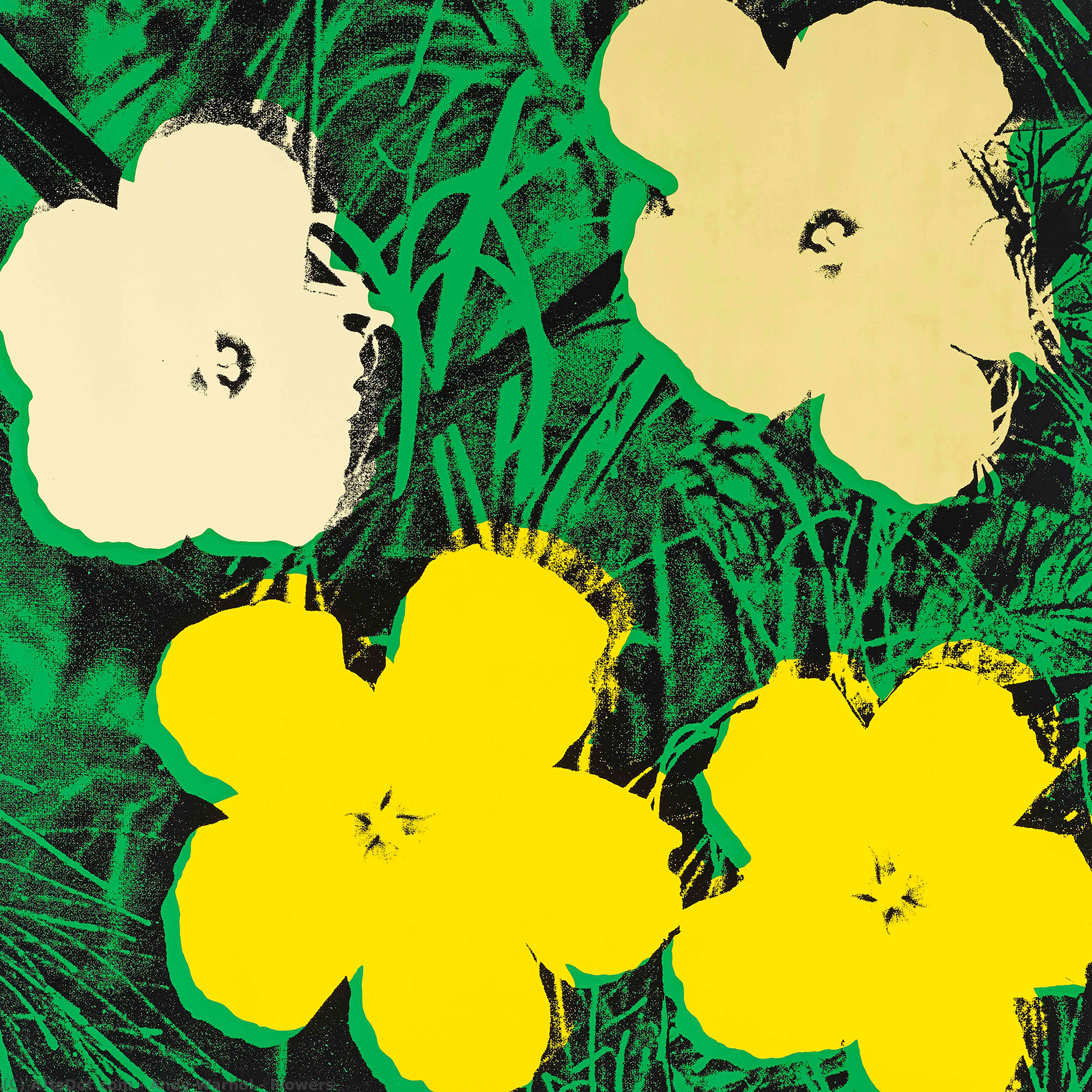 Fiori — Andy Warhol