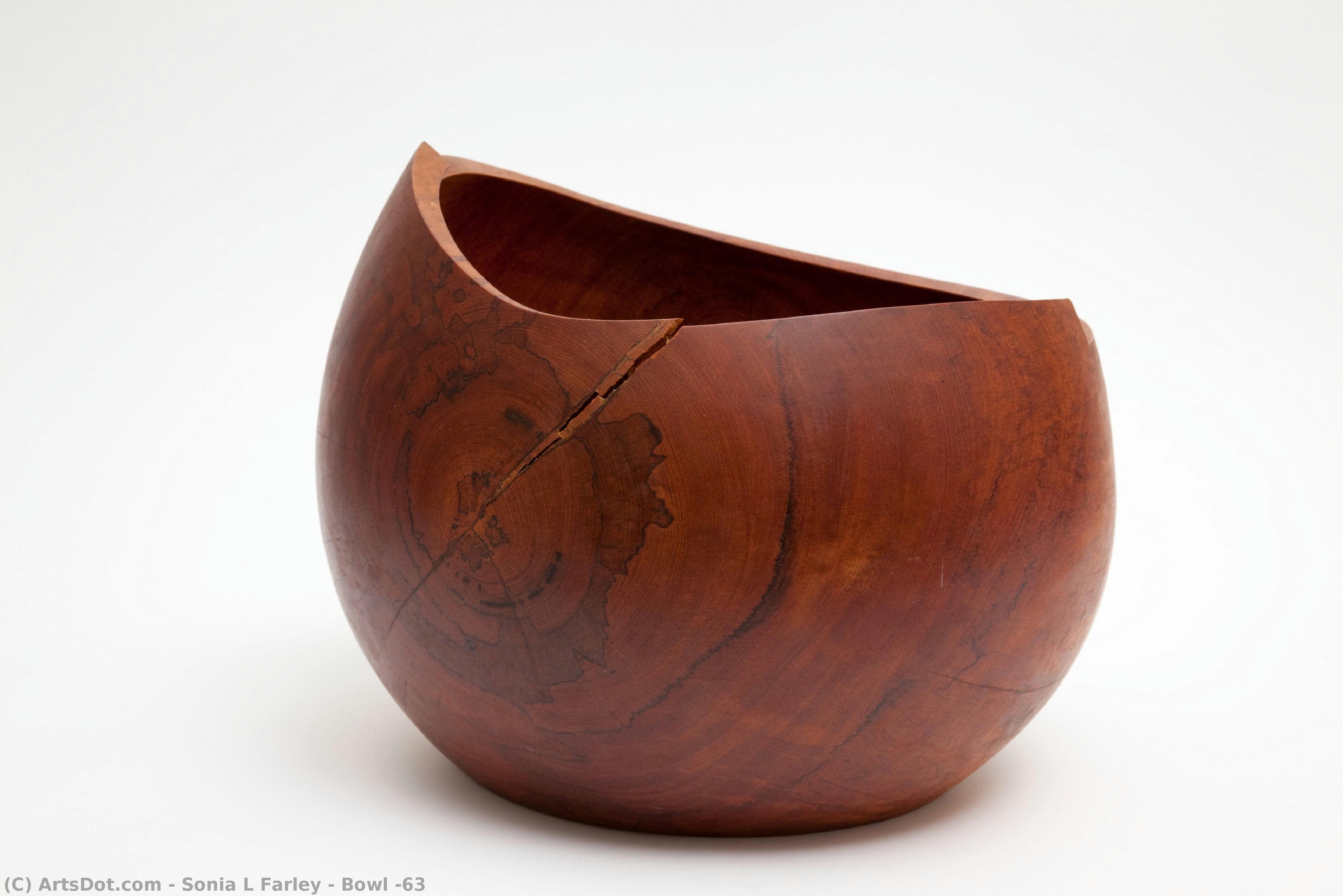 Bowl #63 — Sonia L Farley