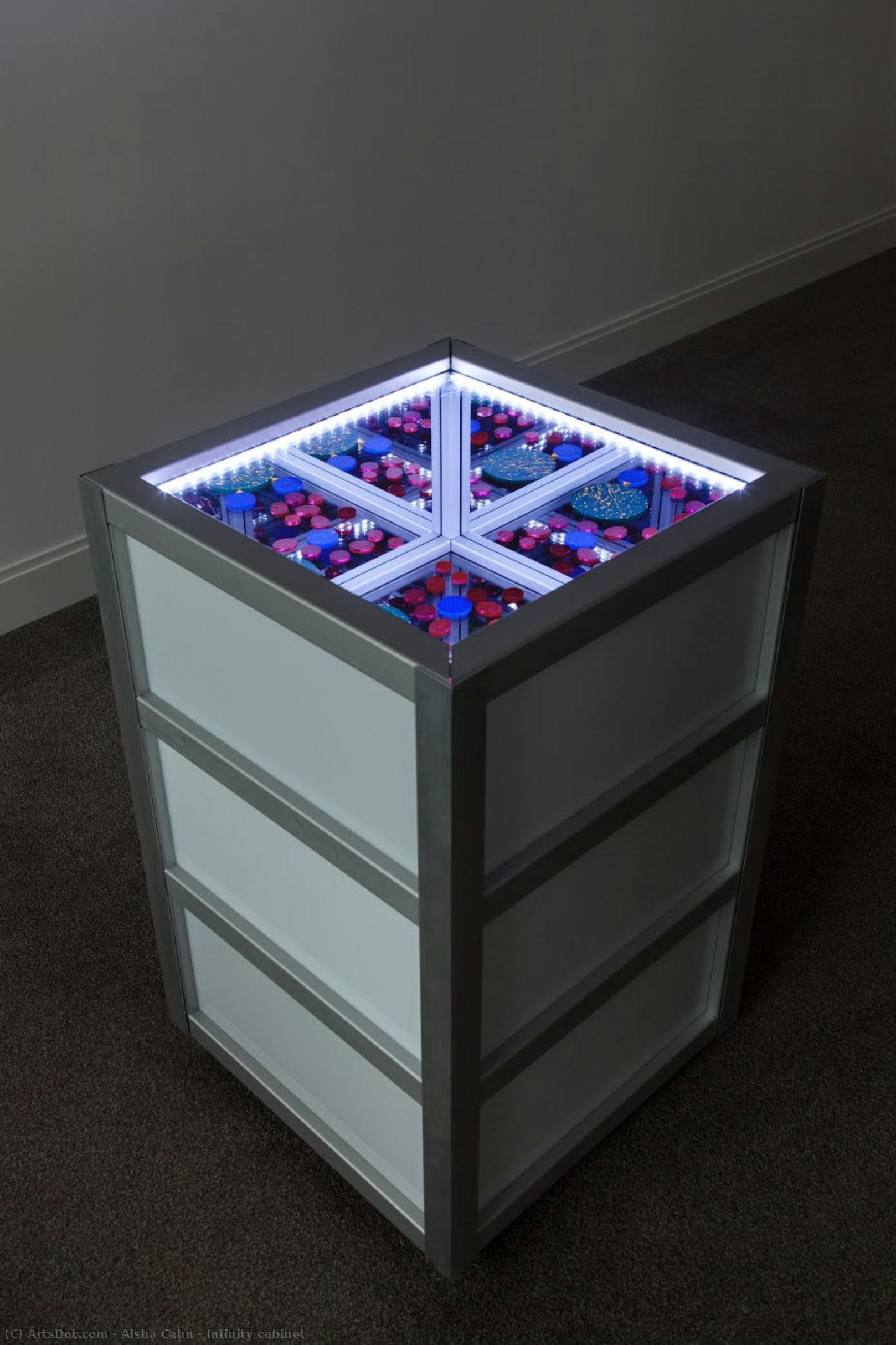 Infinity Cabinet — Aisha Cahn