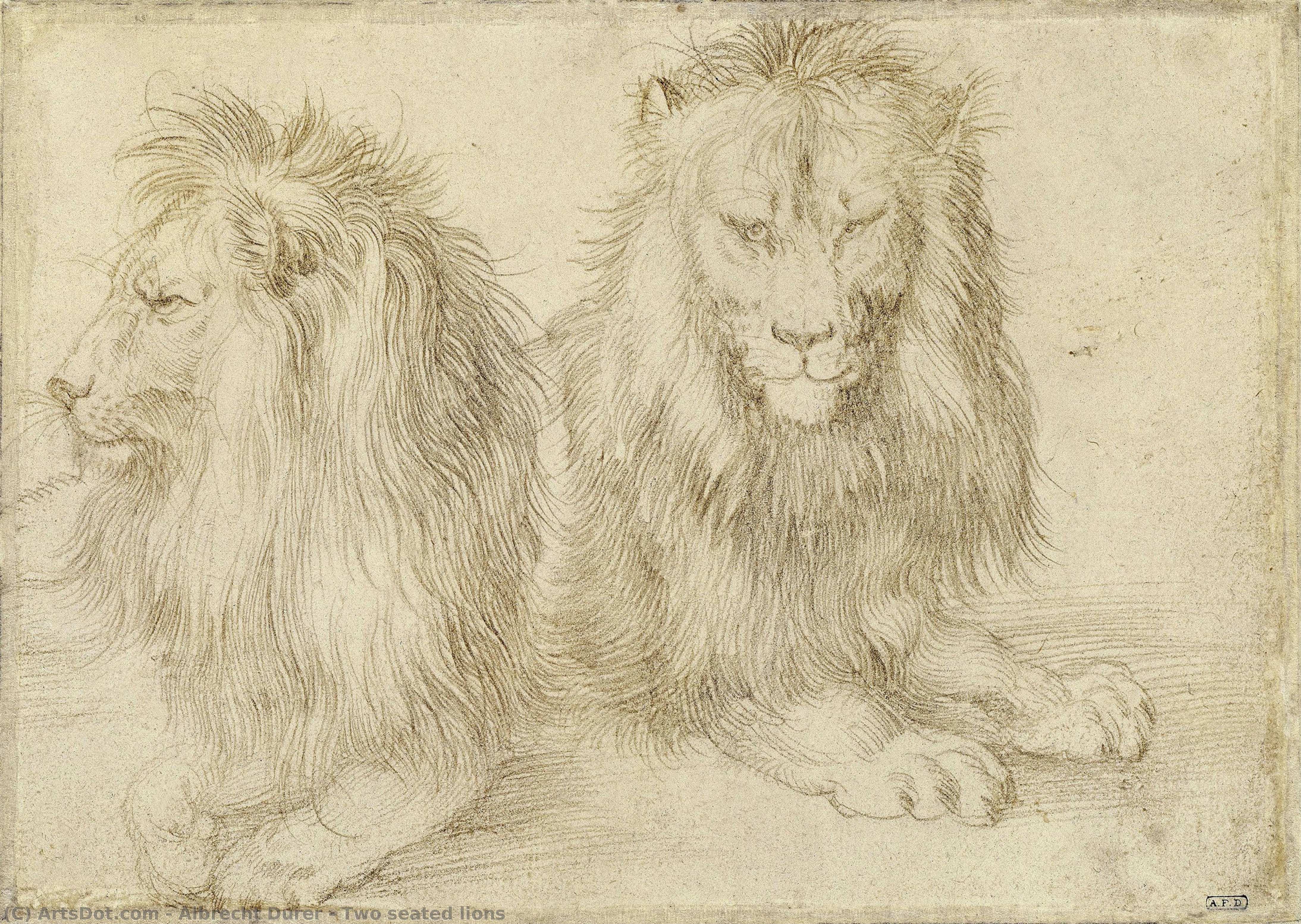 Two Seated Lions — Αλβέρτης Ντýρερ