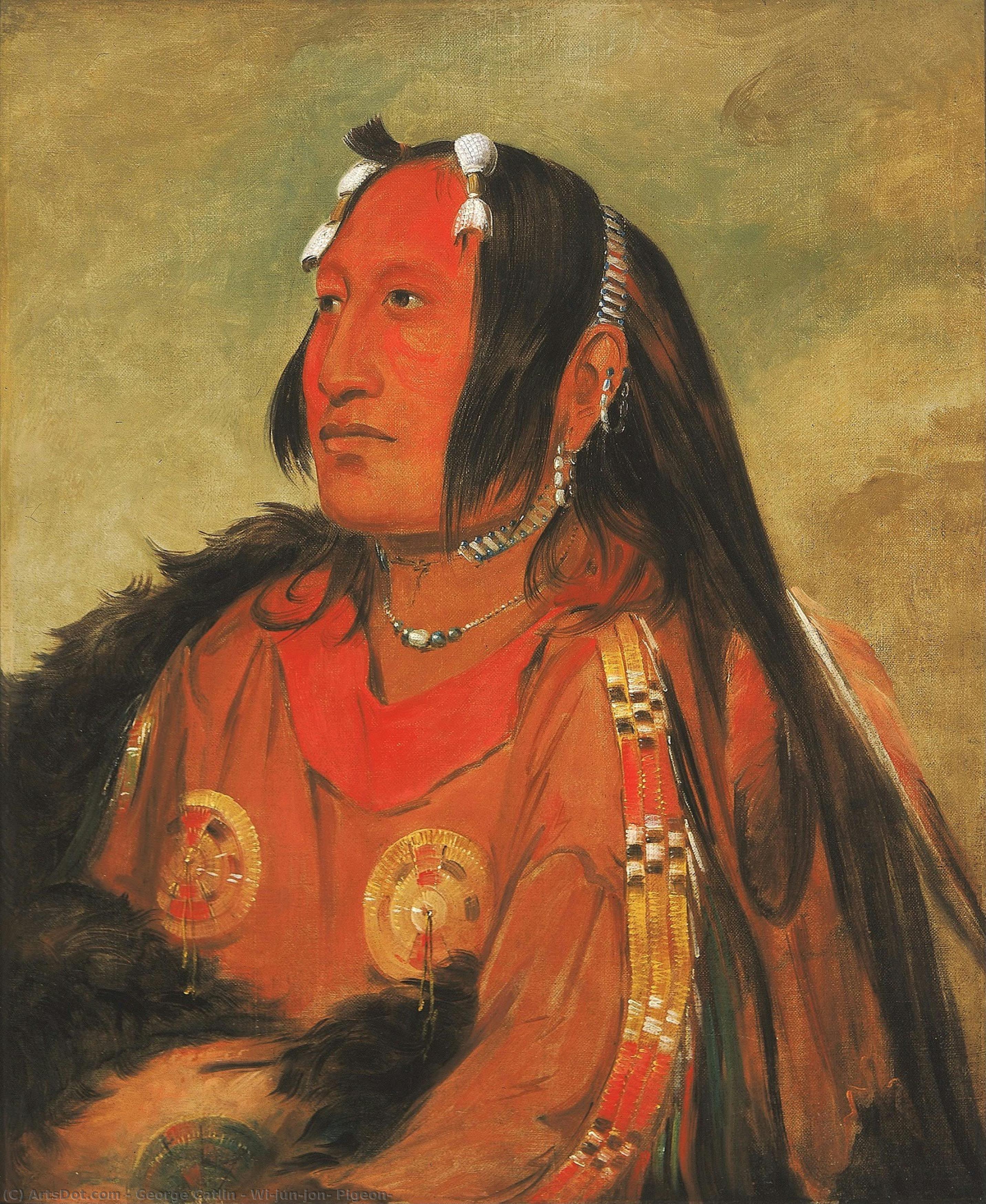 Wi-jún-jon, Taube — George Catlin