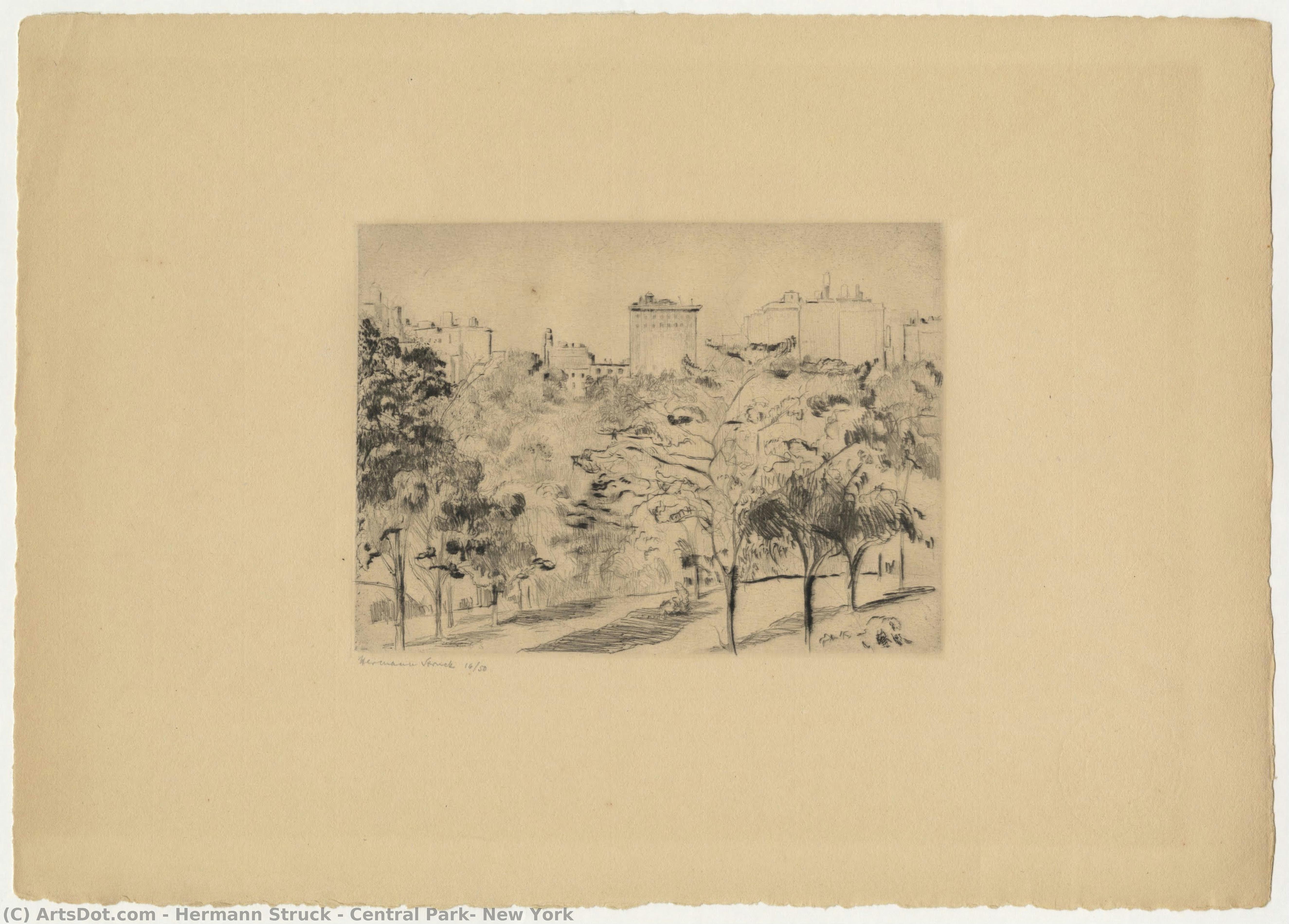 Central Park, New York — Herman Struk