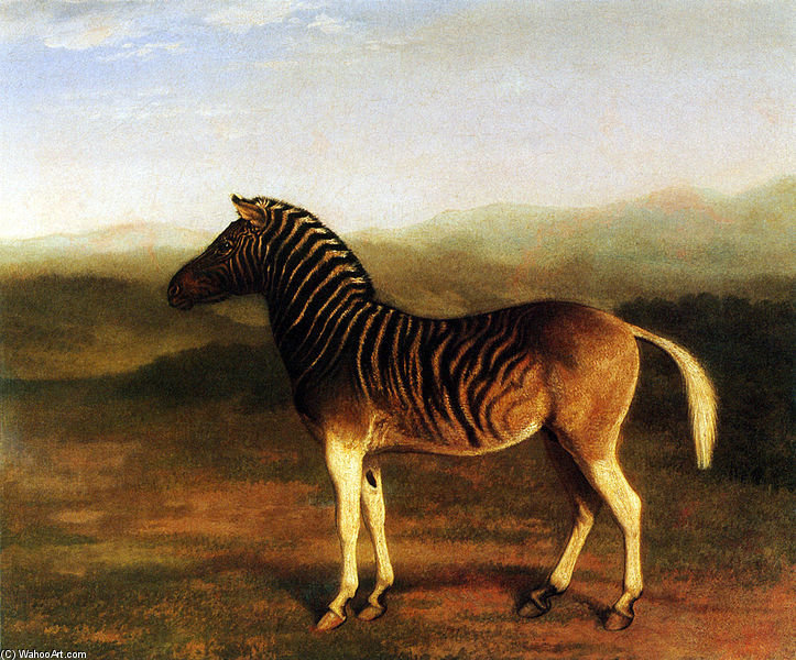 Quagga — 자크 로랑 아가세