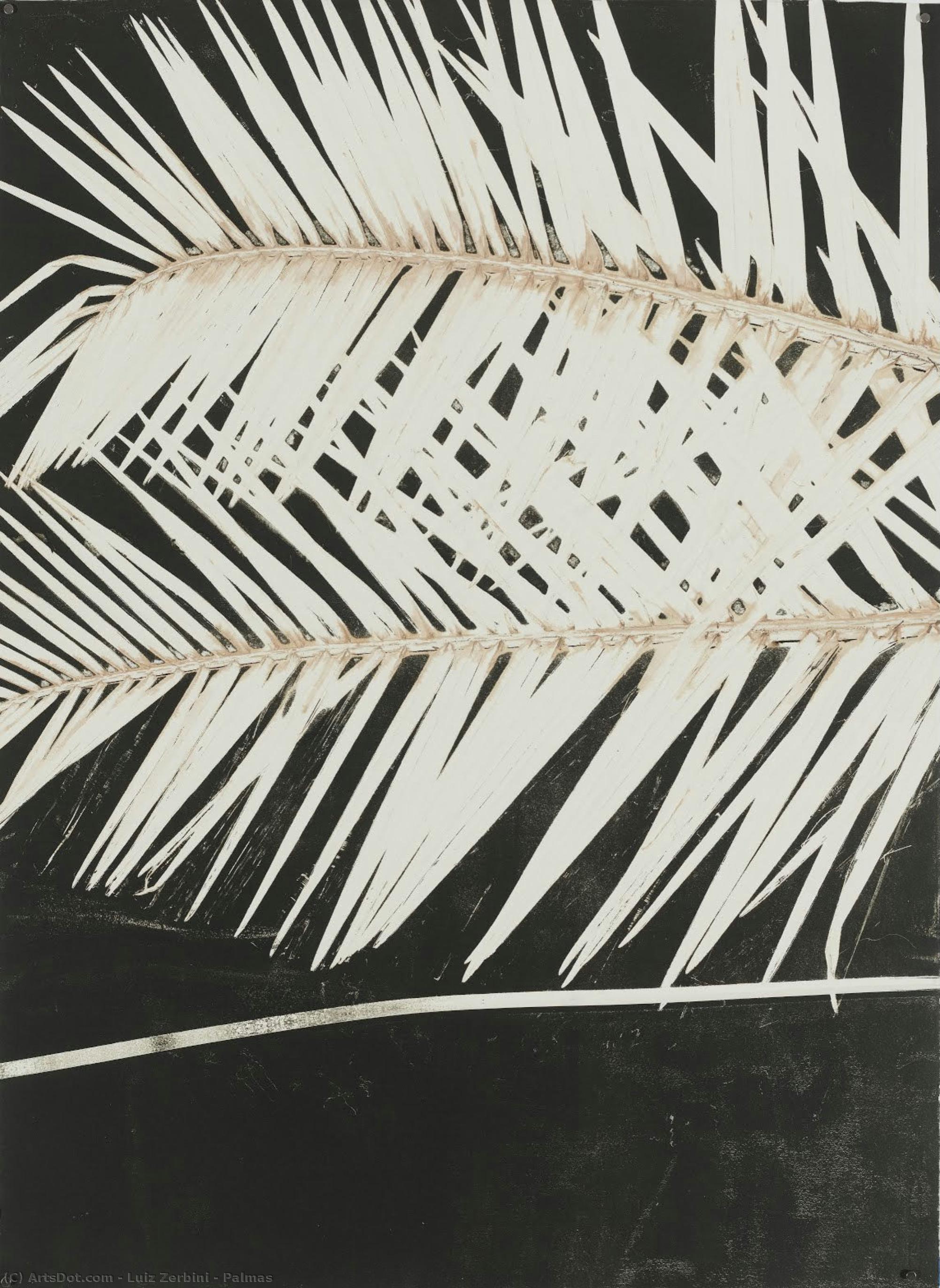 Palmas — Luiz Zerbini