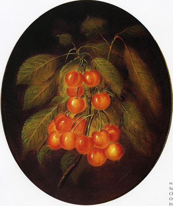 Cherries — Sarah Miriam Peale