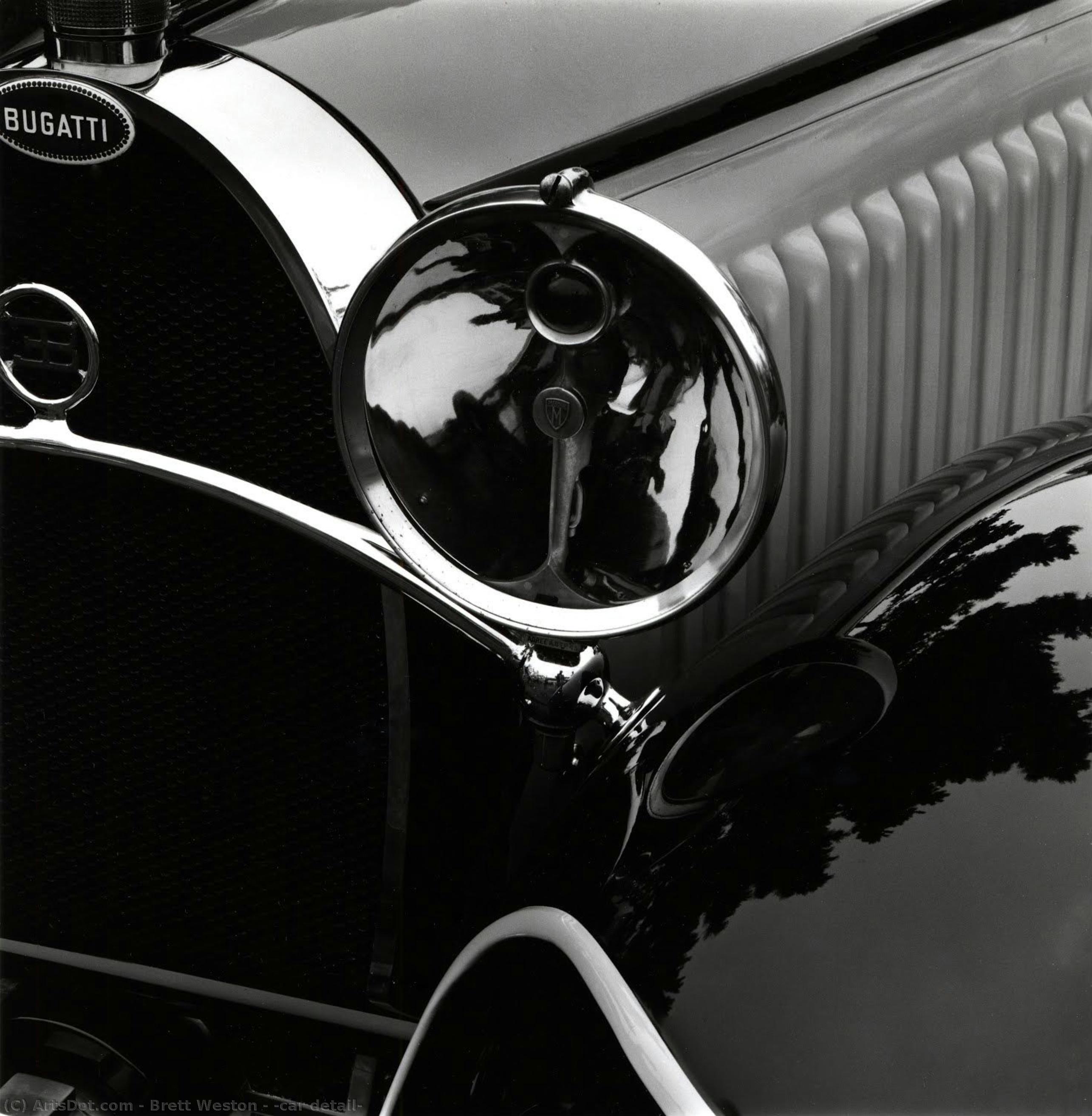 [car Detail] — Brett Weston