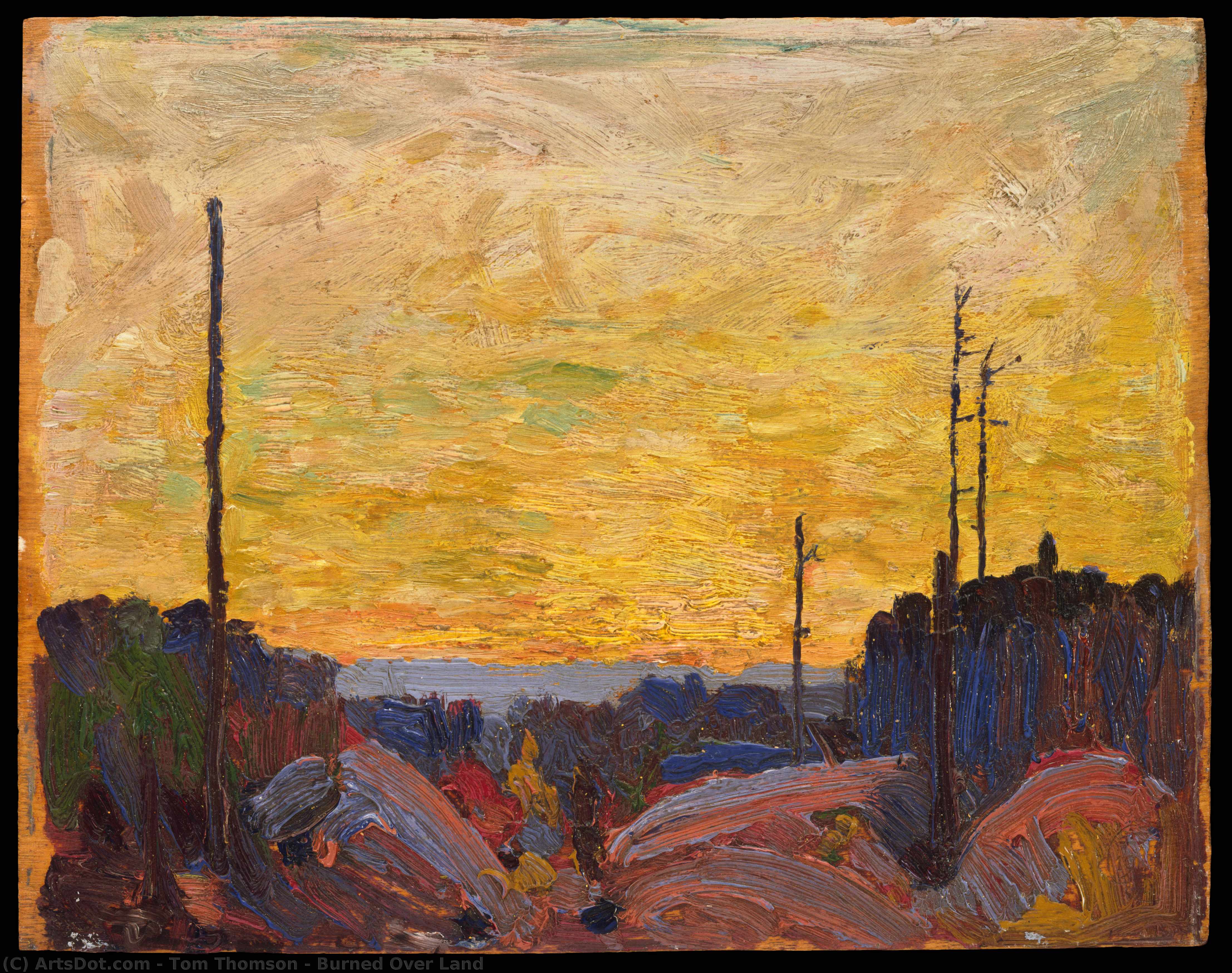 Burned Over Land — Tom Thomson