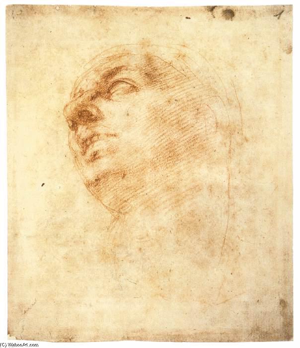 Studie Eines Kopfes Nach Oben — Michelangelo Buonarroti