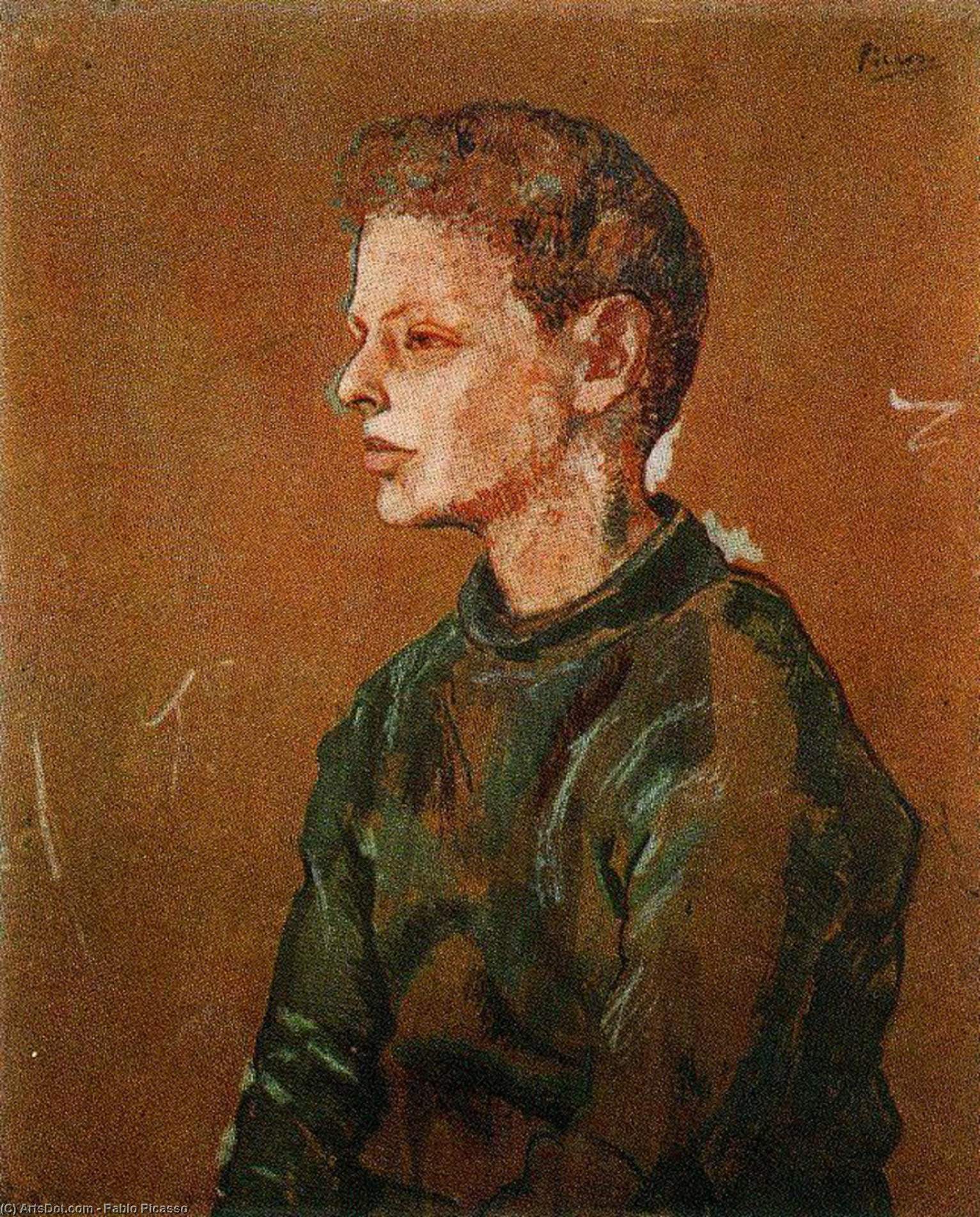 Ritratto Di Allan Stein — Pablo Picasso