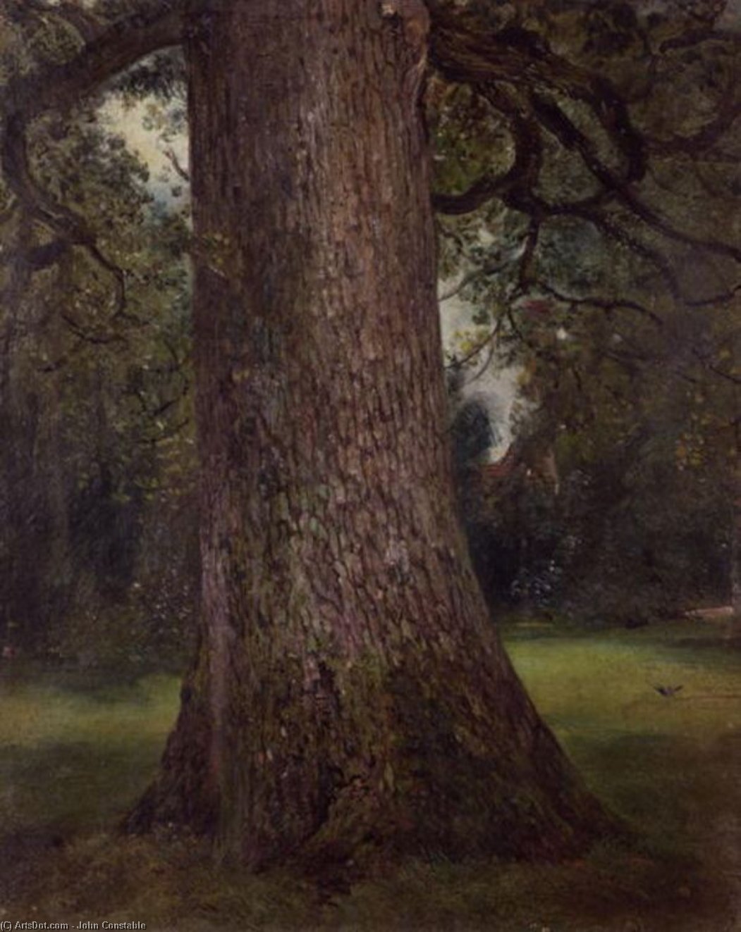 Studio Del Tronco Di Un Salice — John Constable