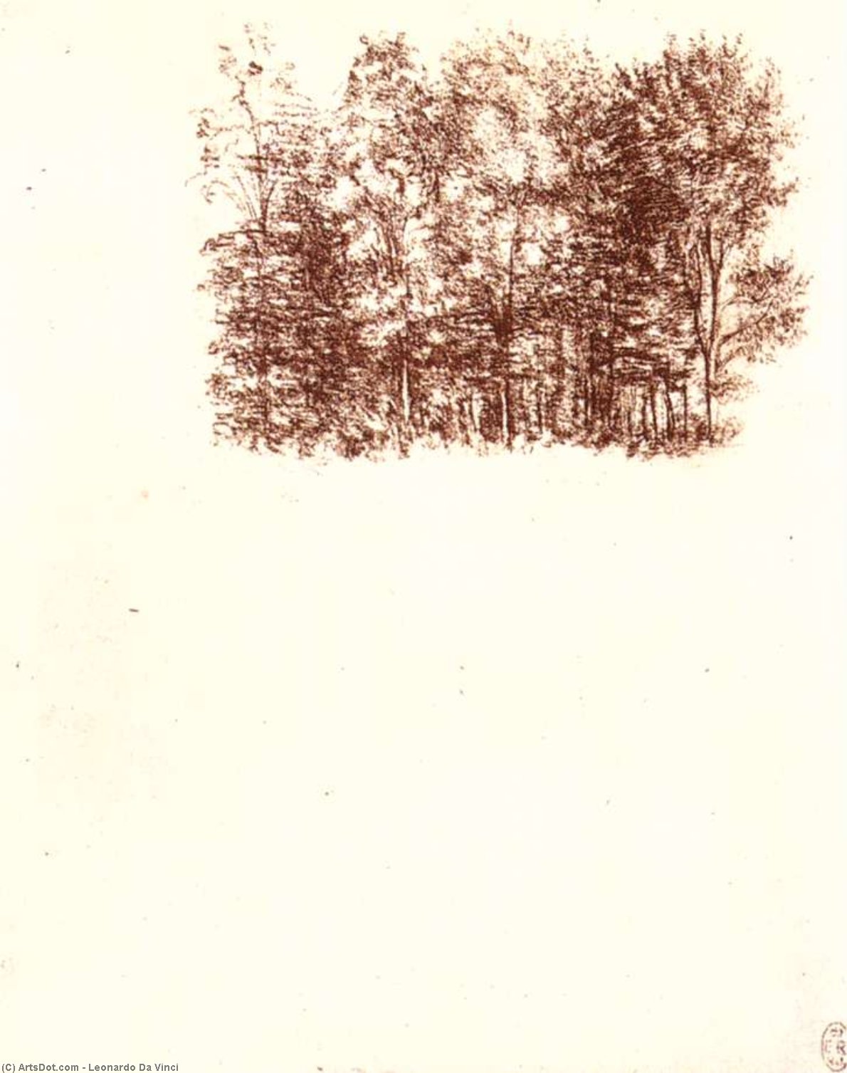 Borov Dolg — Leonardo Da Vinci
