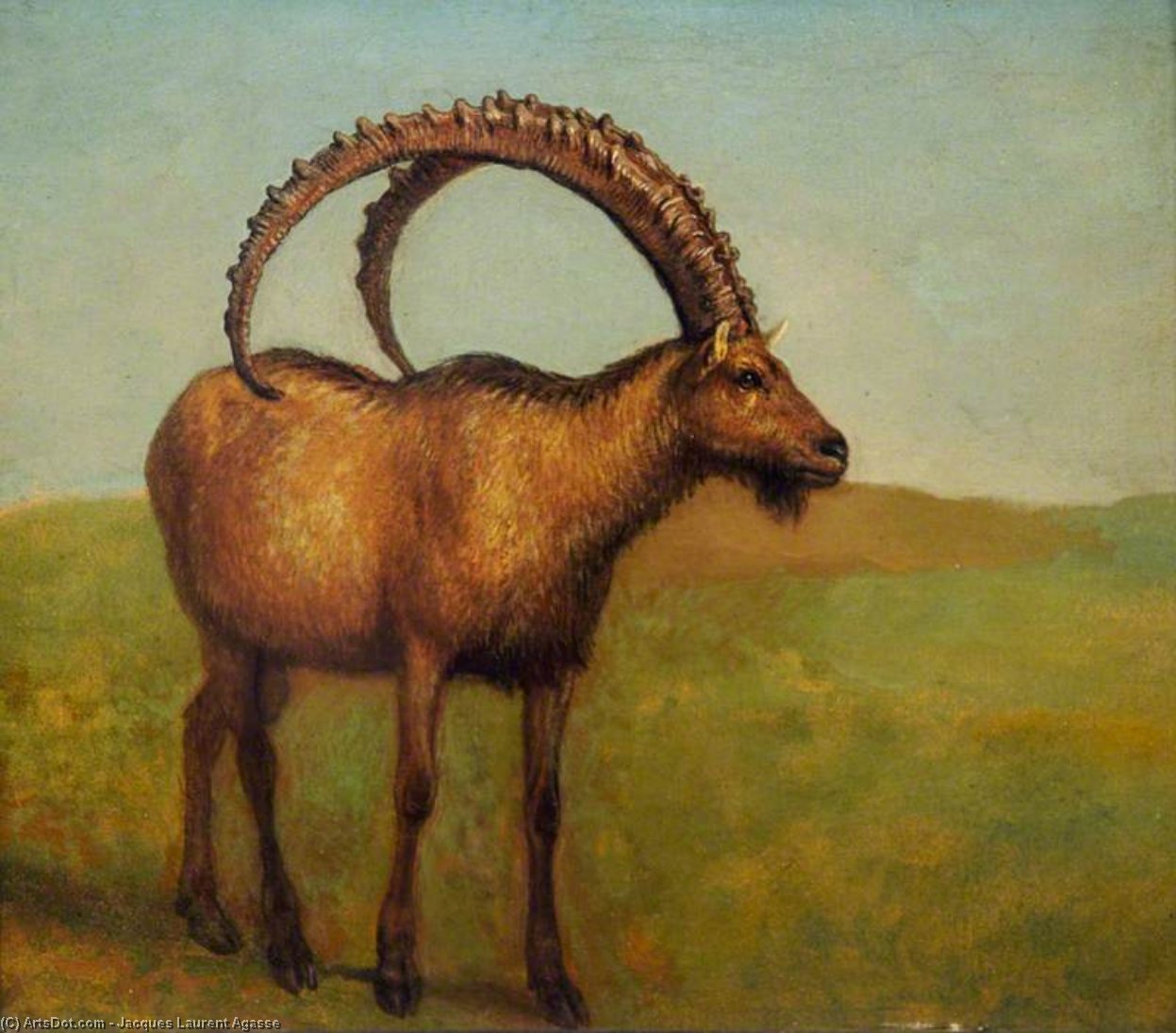 Ibex — Jacques Laurent Agasse