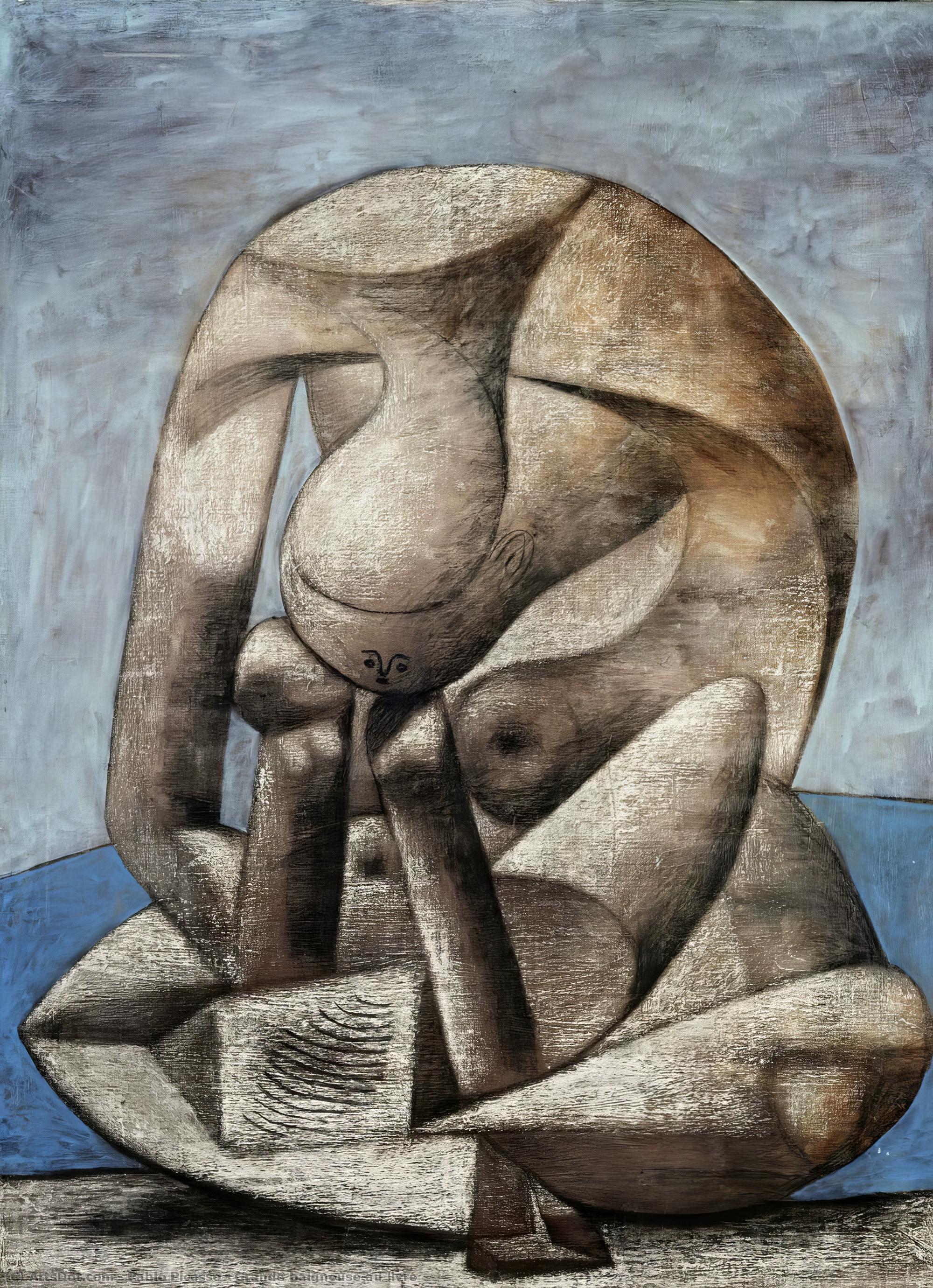 Grande Baigneuse Au Livre — Pablo Picasso
