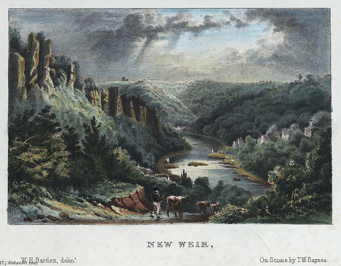 New Weir — William Henry Bartlett