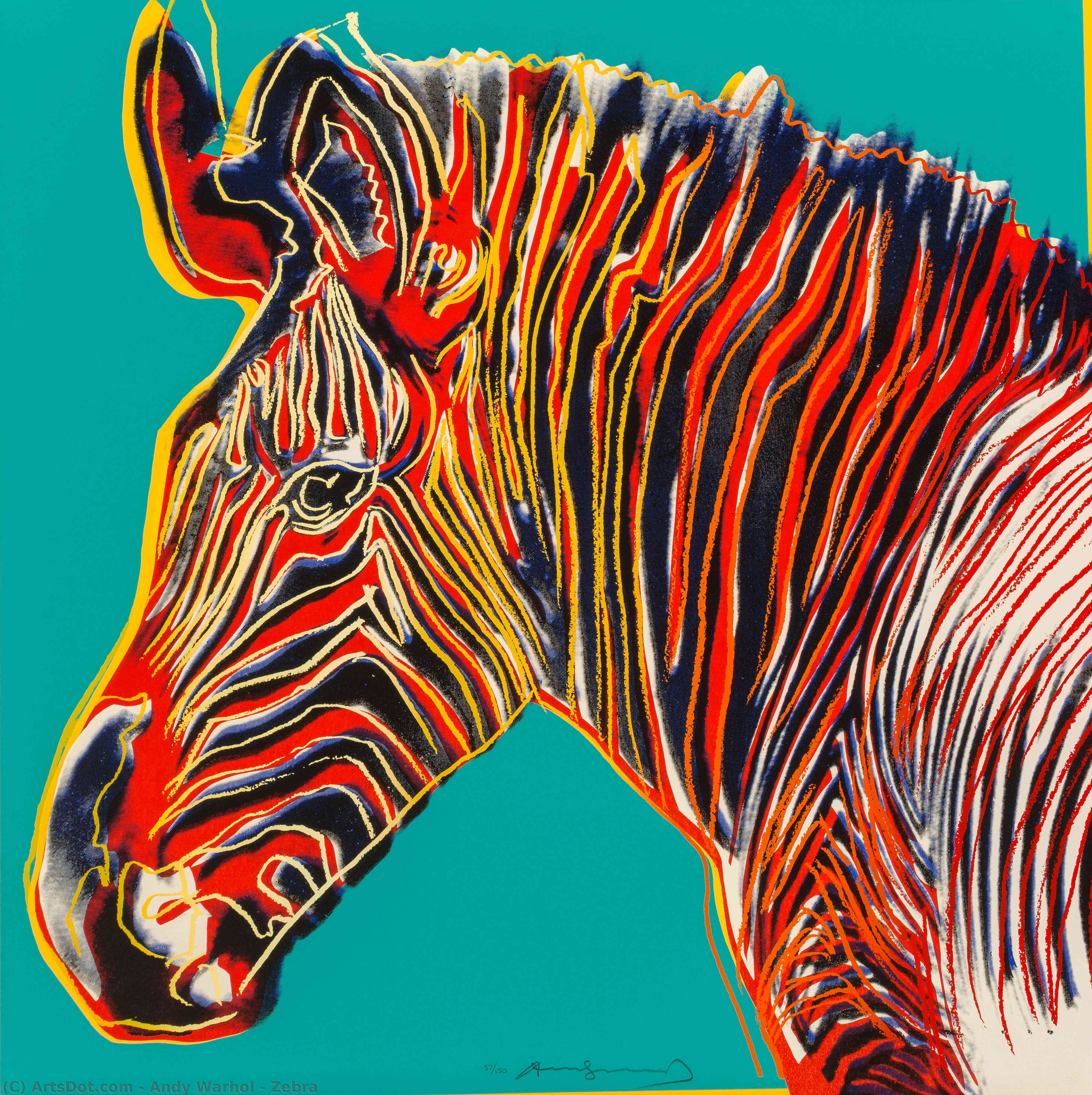 Zebra — Andy Warhol