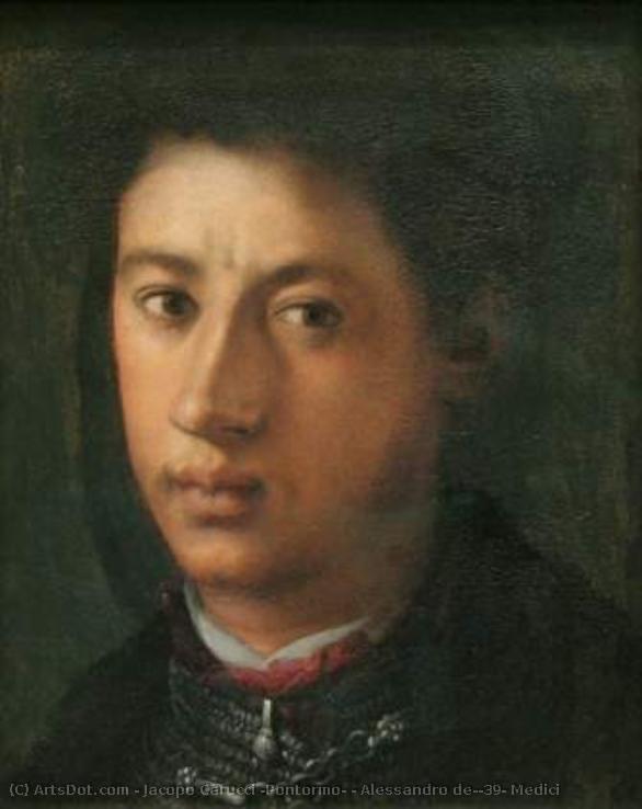 Alessandro De' Medici — Jacopo Pontormo