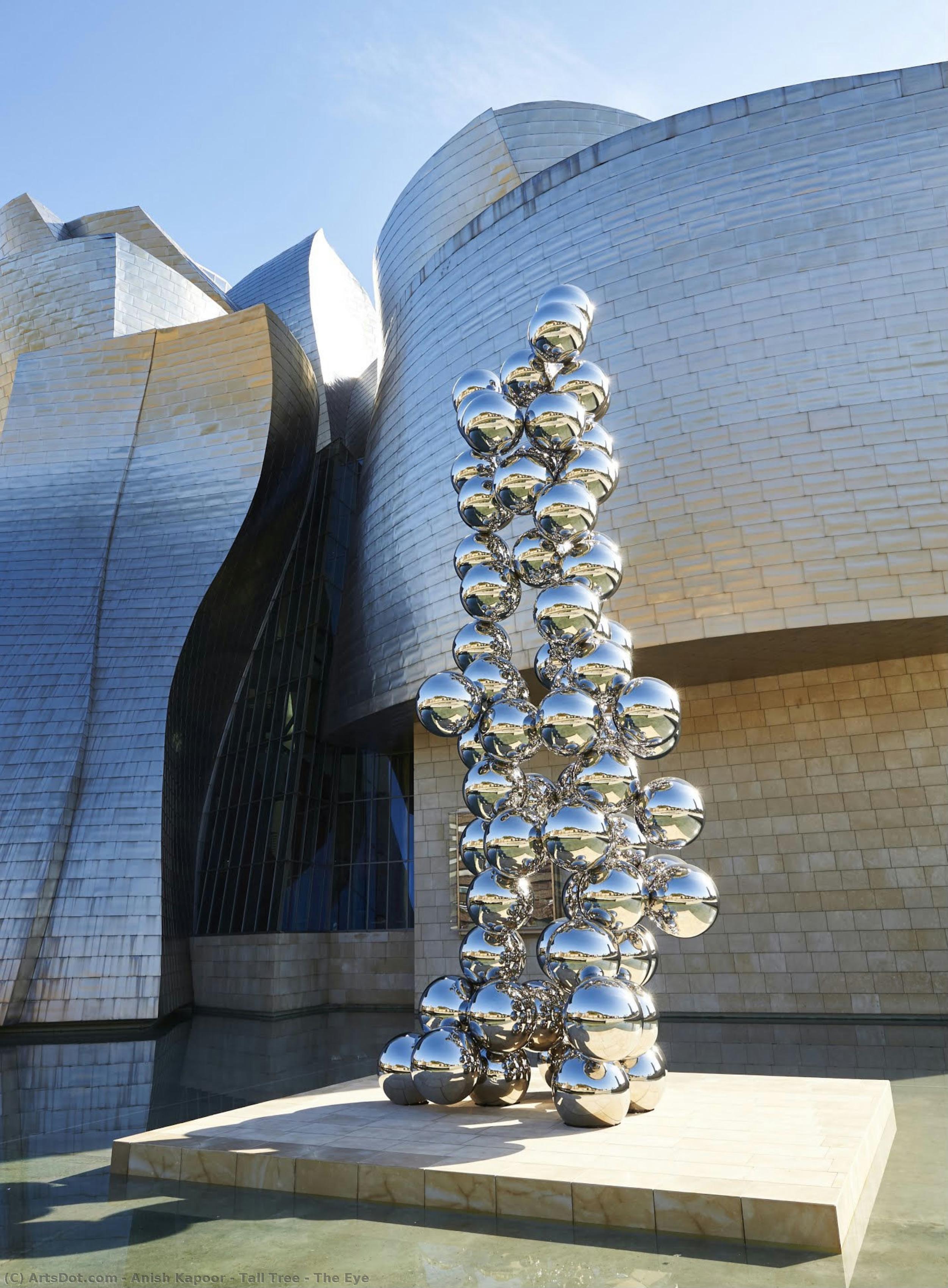 Albero Alto E L'occhio — Anish Kapoor