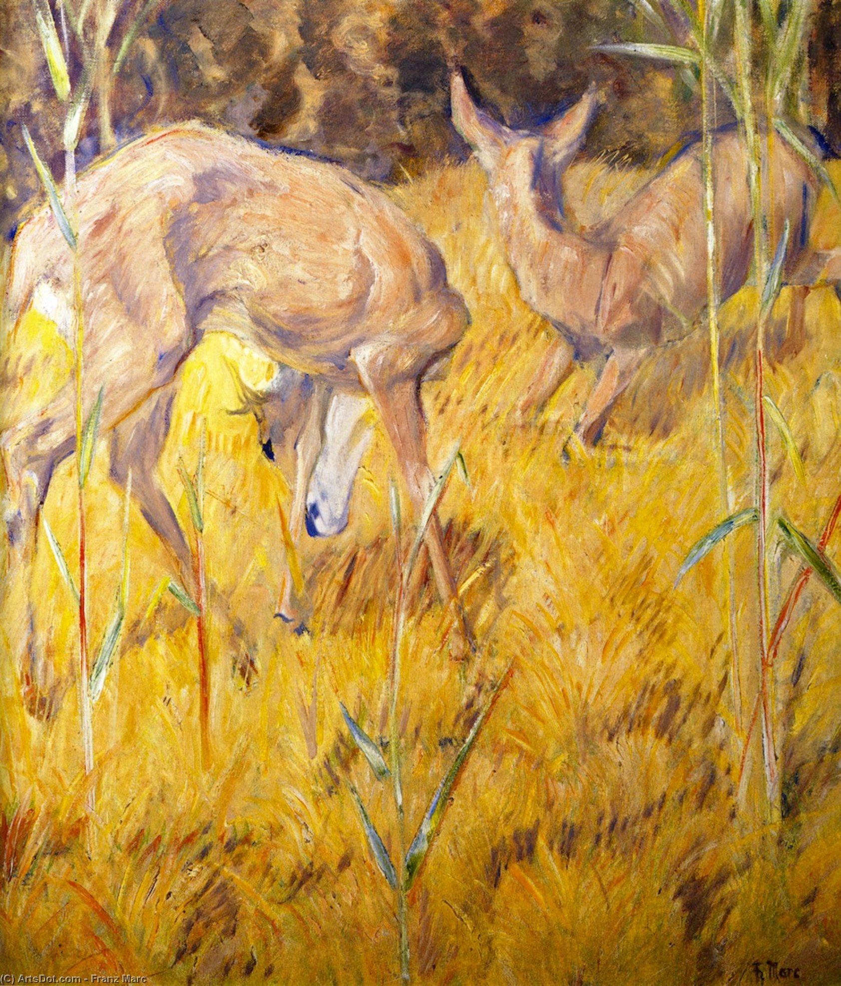 Jeleni U Trsci — Franz Marc