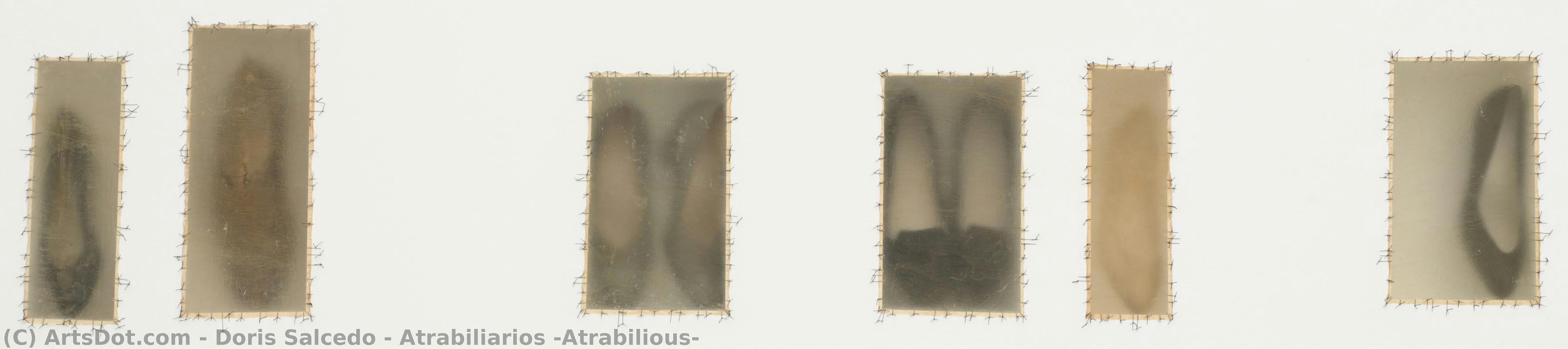 Atrabiliarios (atrabilious) — Doris Salcedo