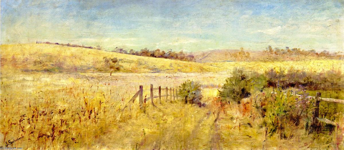 A Midsummer Day — Jane Sutherland