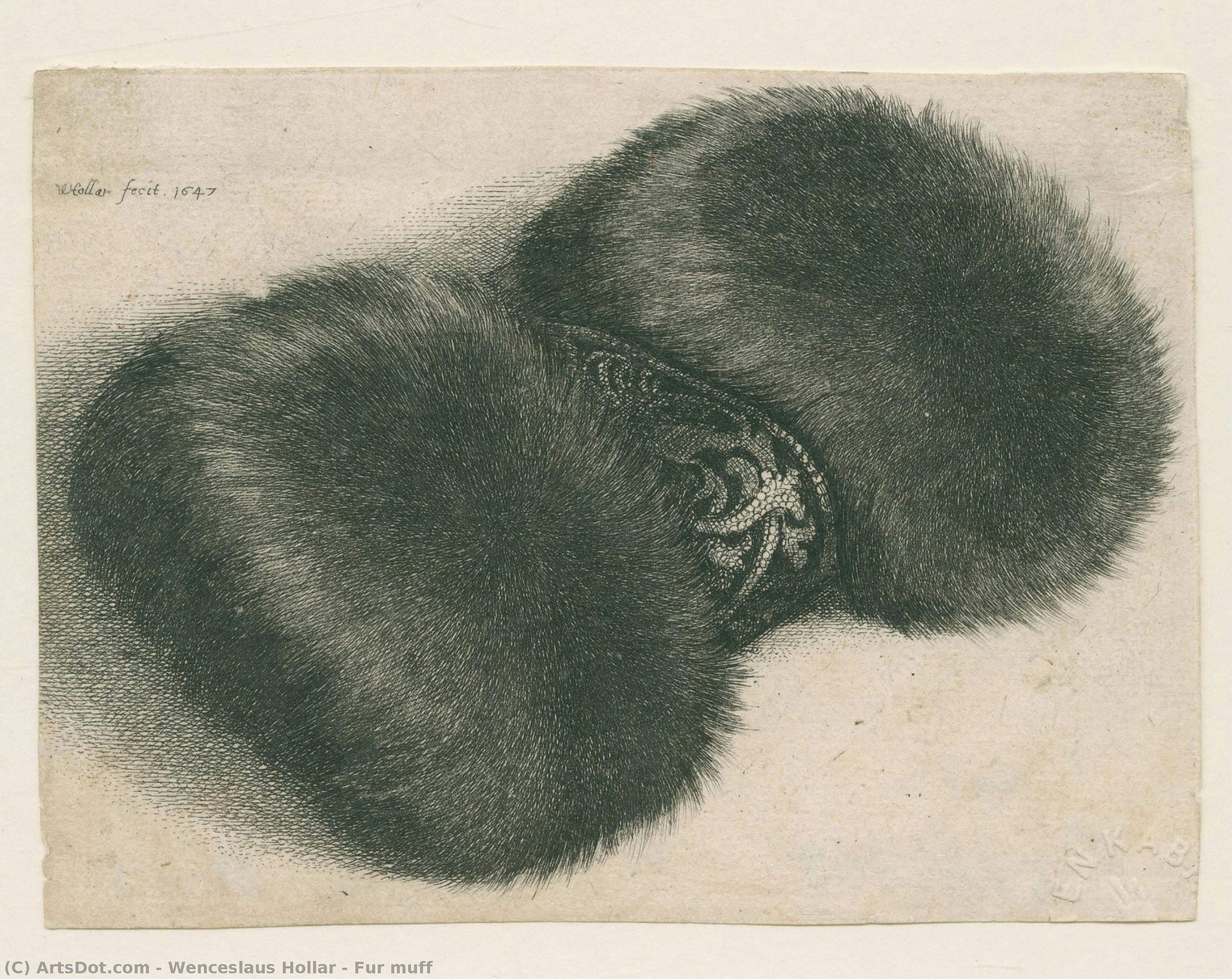 Fur Muff — 벤첼스 홀라