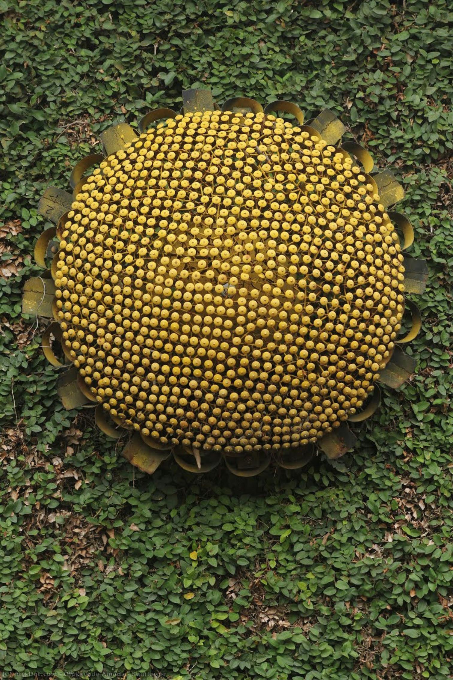 Sunflower — Olukayode Amoda