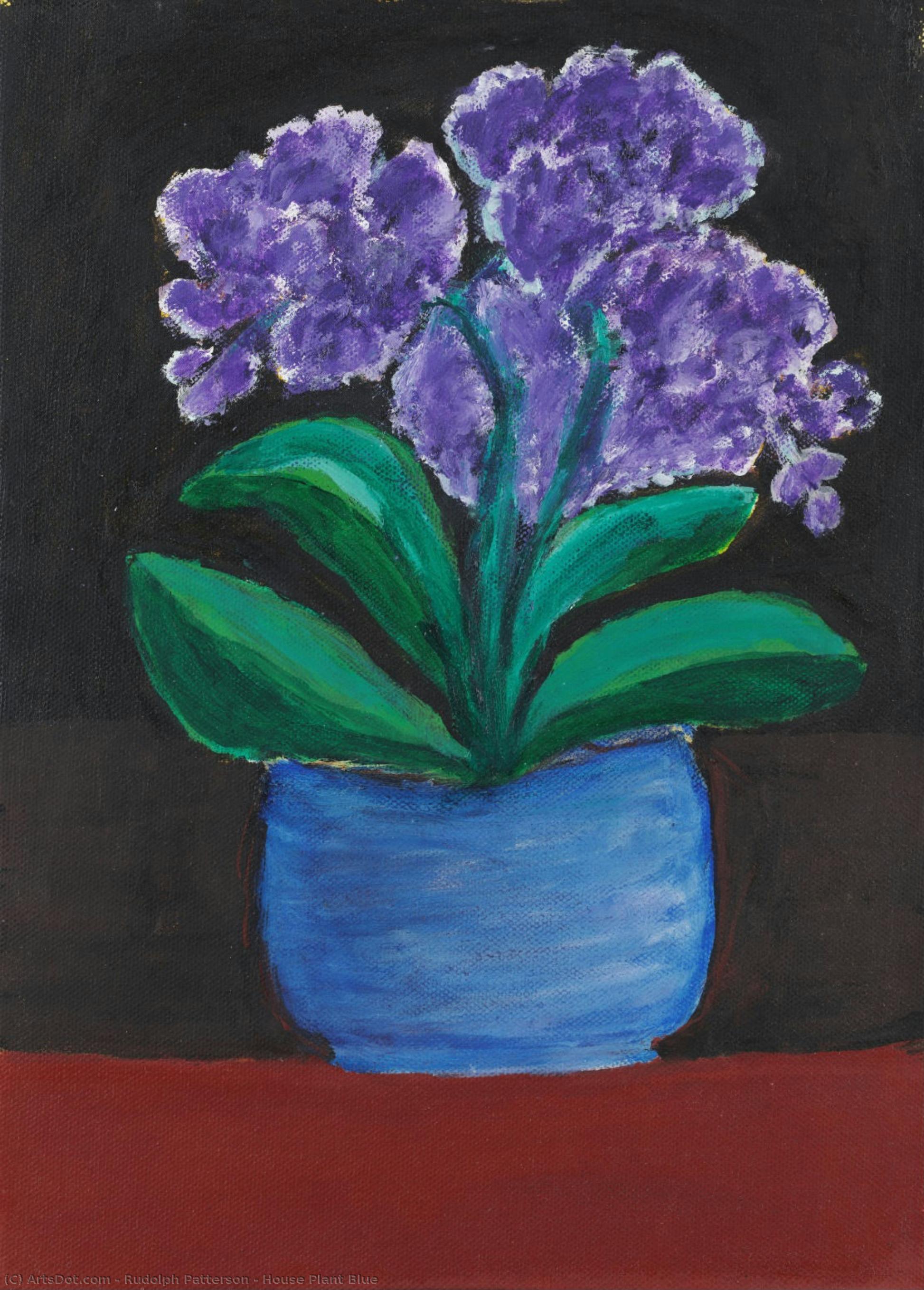 House Plant Blue — Rudolph Patterson