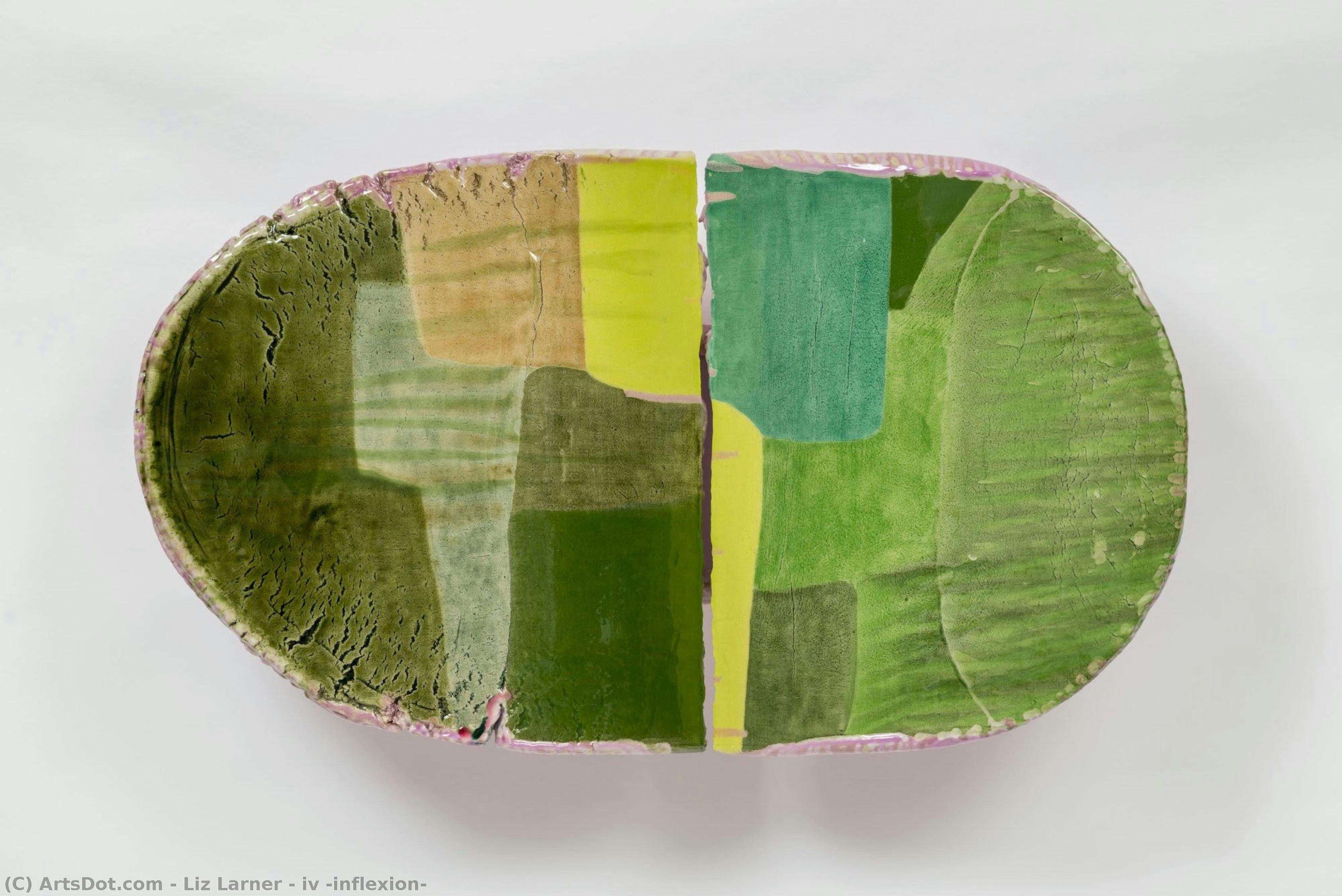 Iv (inflexion) — Liz Larner
