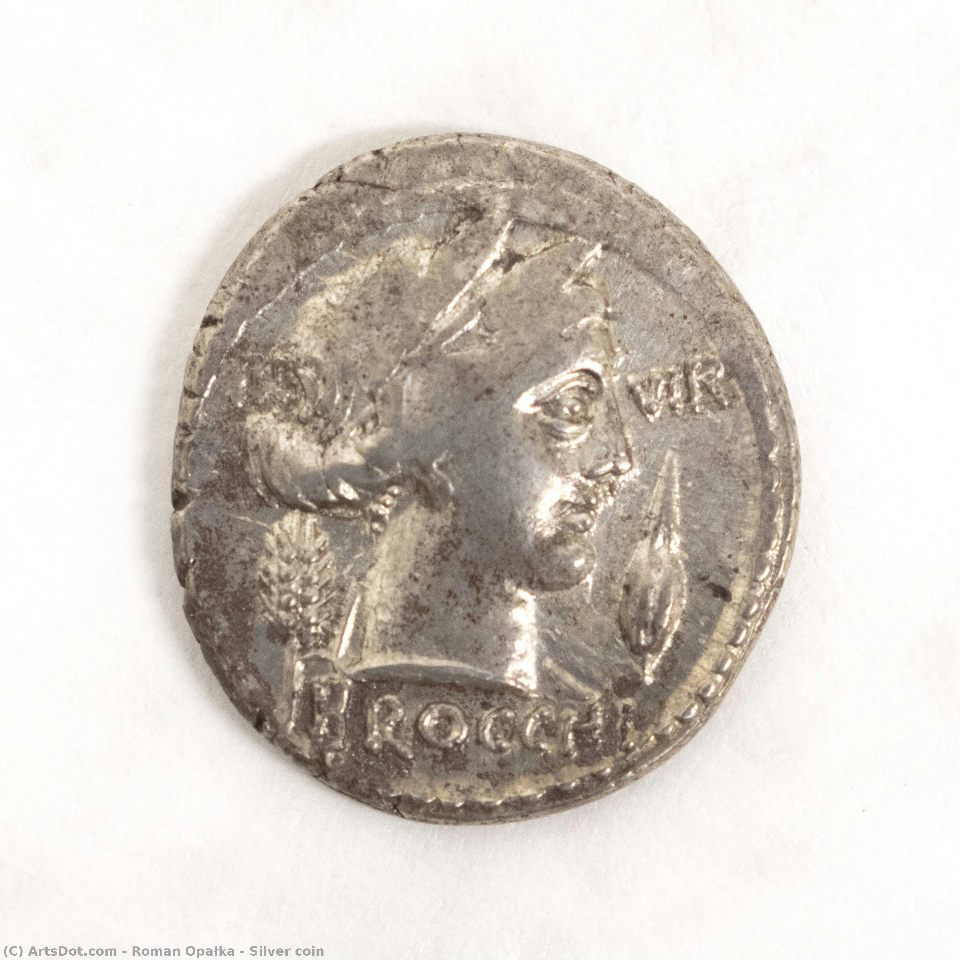 Silver Coin — ロマン・オパルカ