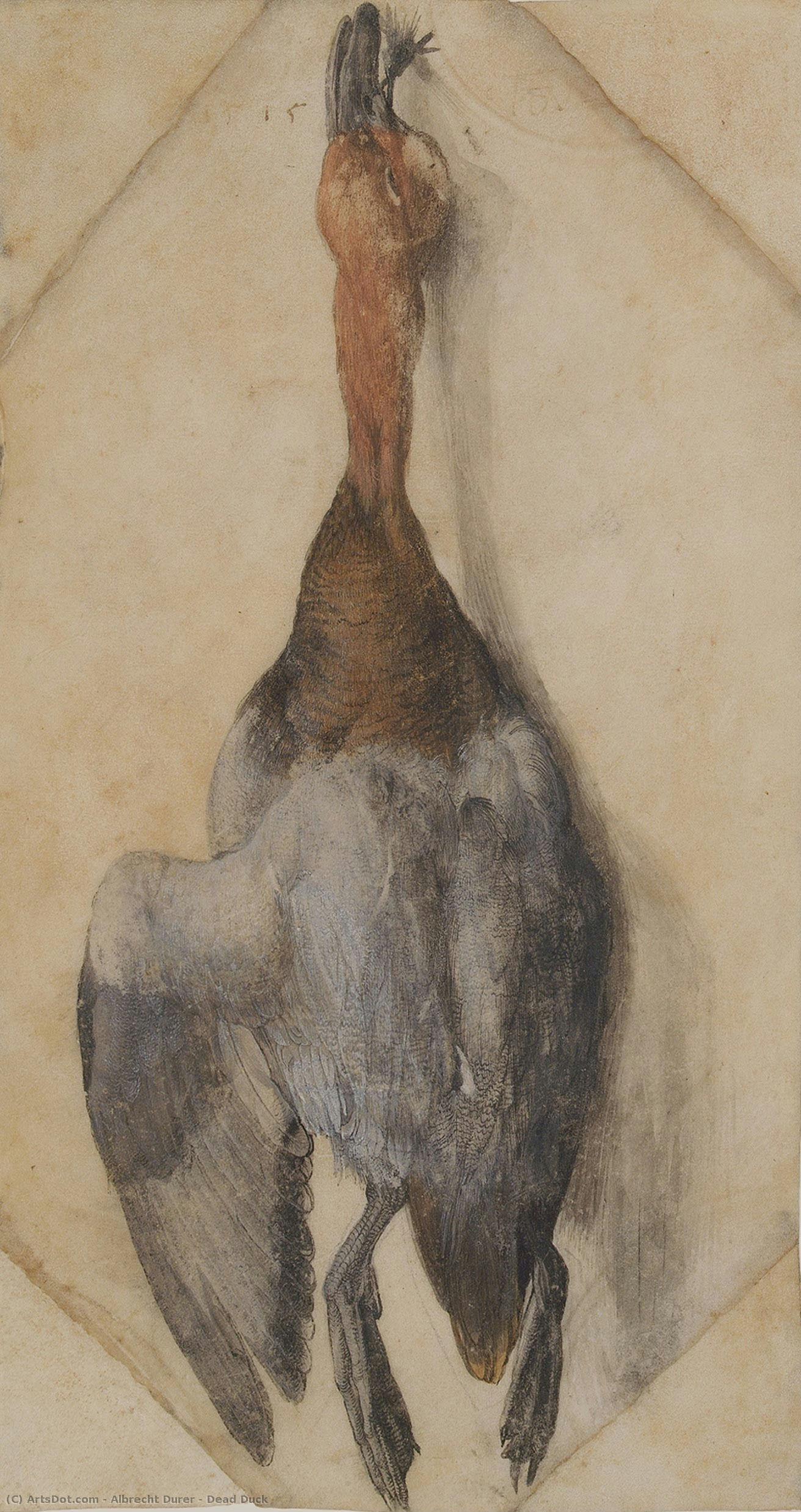 Død And — Albrecht Dürer
