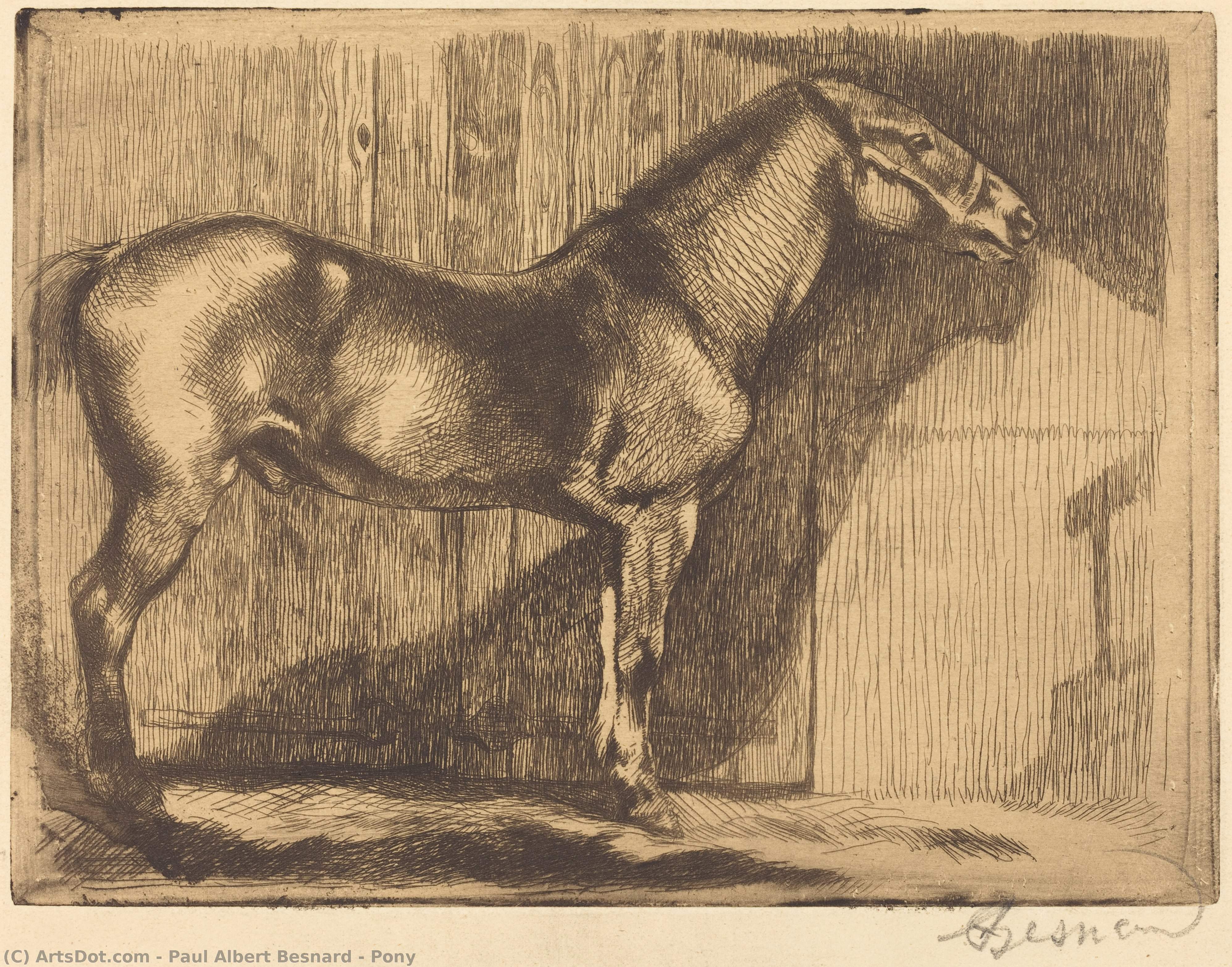 Pony — Paul Albert Besnard