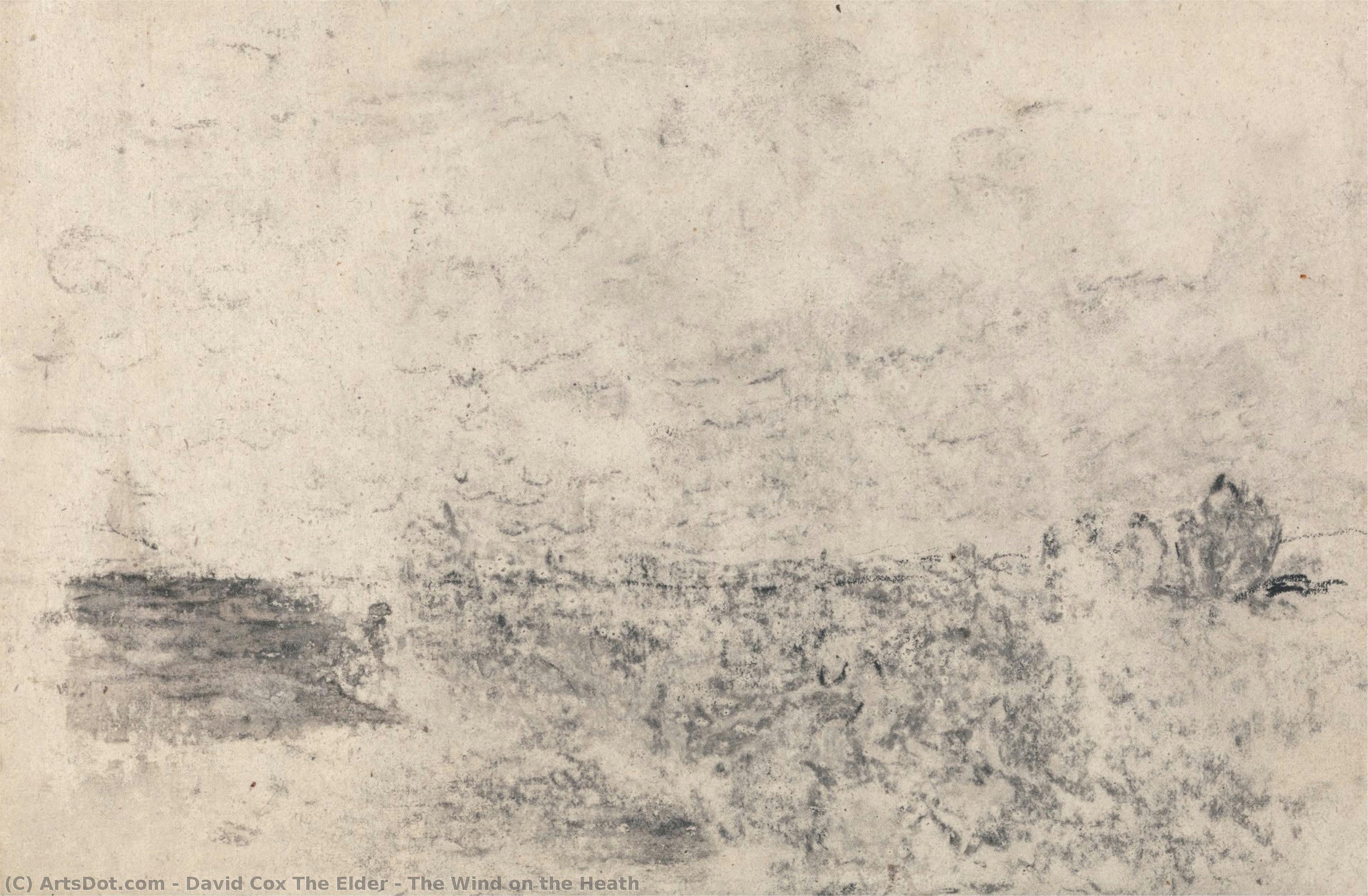 The Wind On The Heath — David Cox Der Ältere