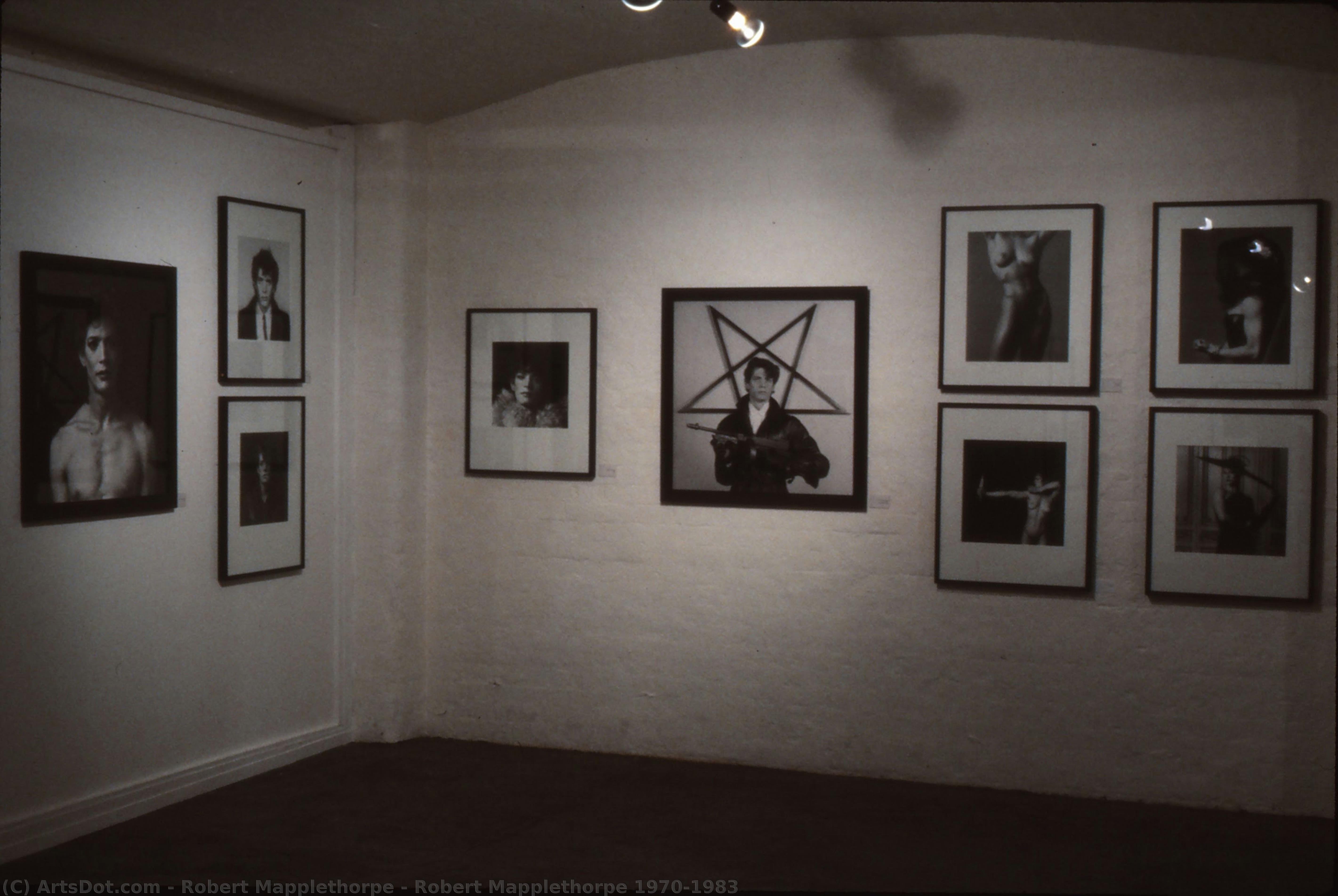 Robert Mapplethorpe 1970-1983 — Robert Mapplethorpe