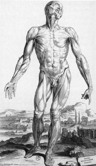 Anatomy — Andrés Vesalio