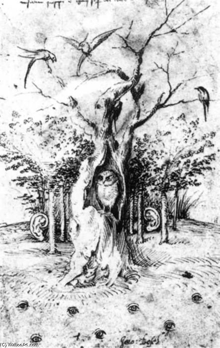 El Bosque Que Escucha Y El Campo Que Ve — Jerónimo Bosch