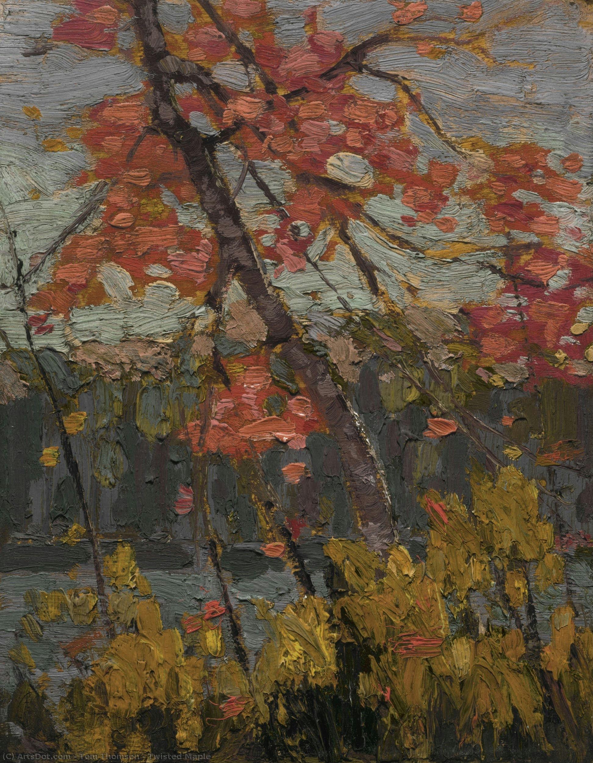 Twisted Maple — Tom Thomson