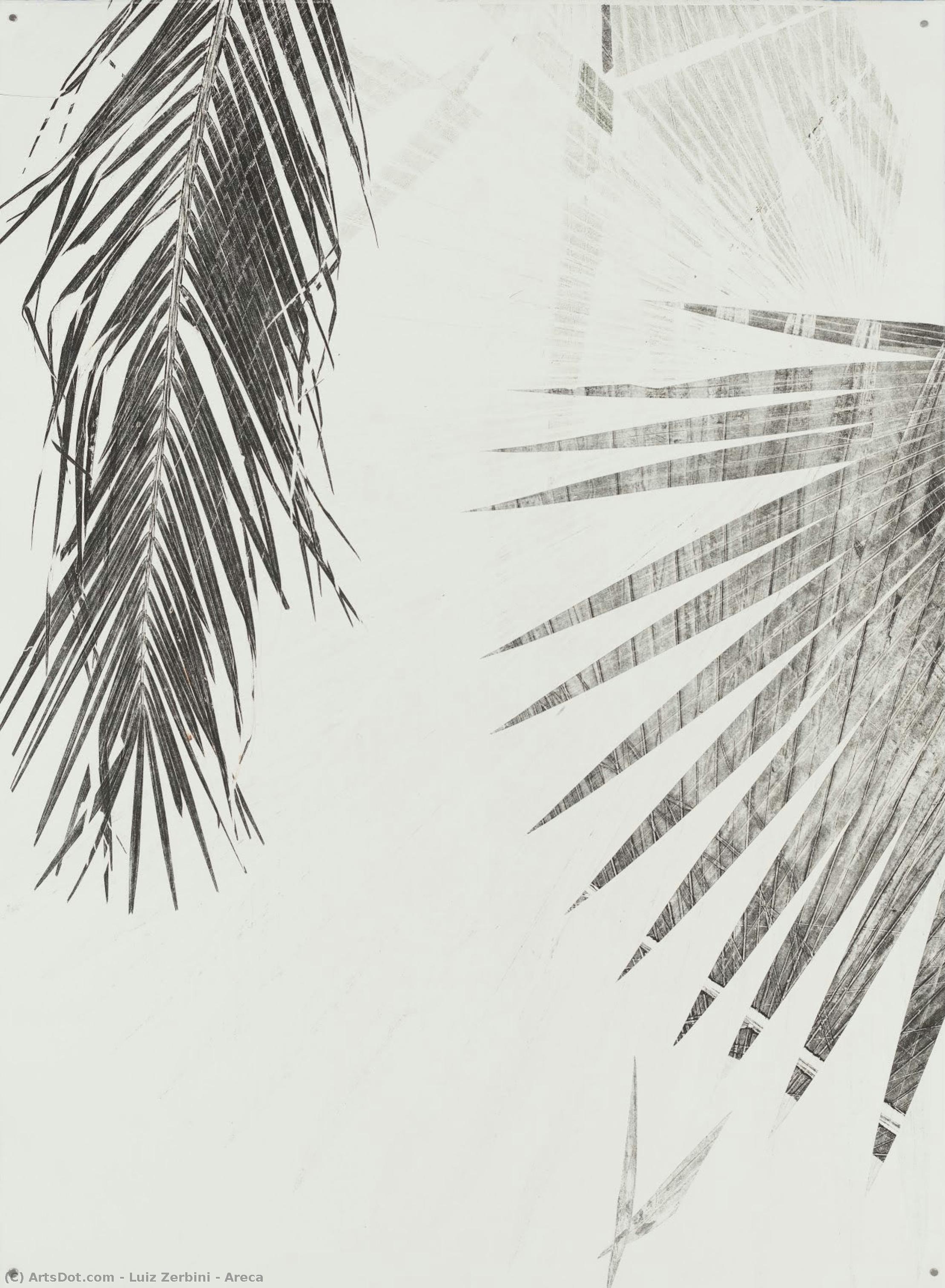 Areca — Luiz Zerbini