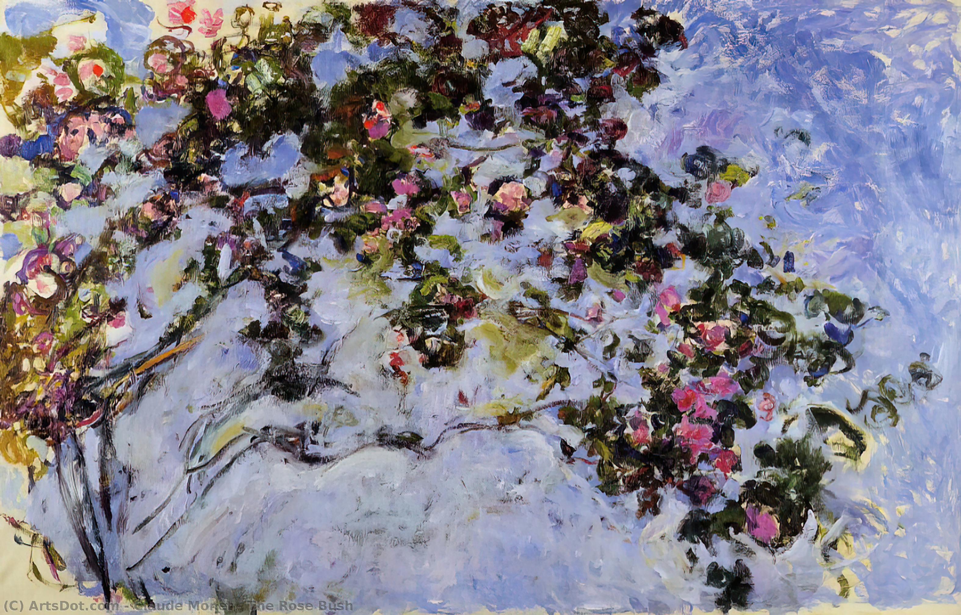 Die Rose — Claude Monet