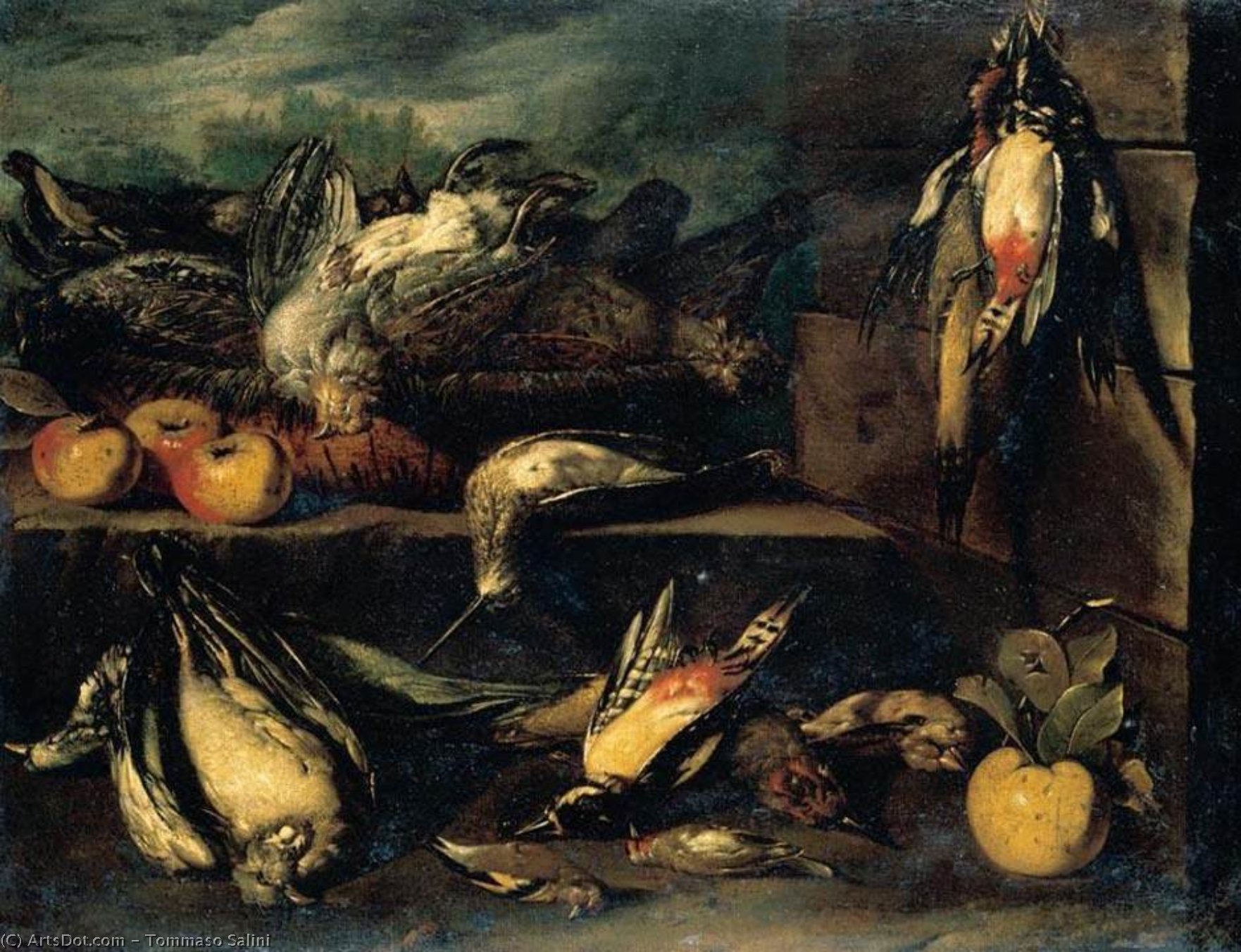 Still-life — Tommaso Salini