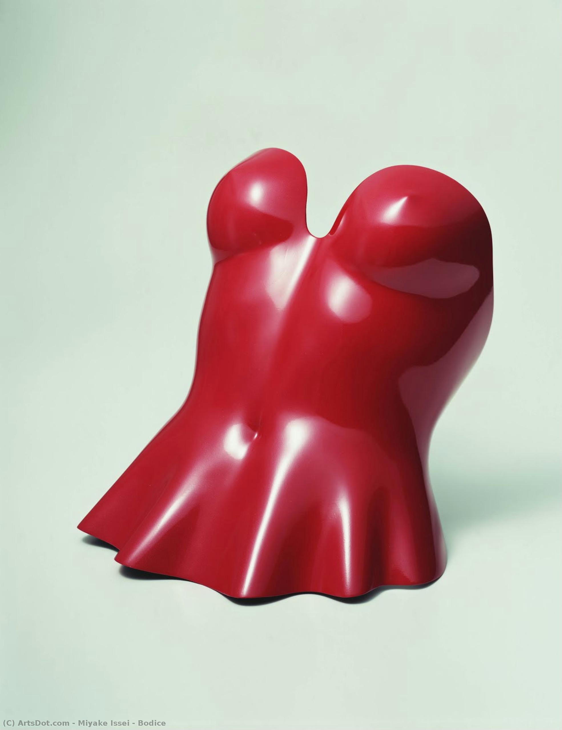 Bodice — Issey Miyake